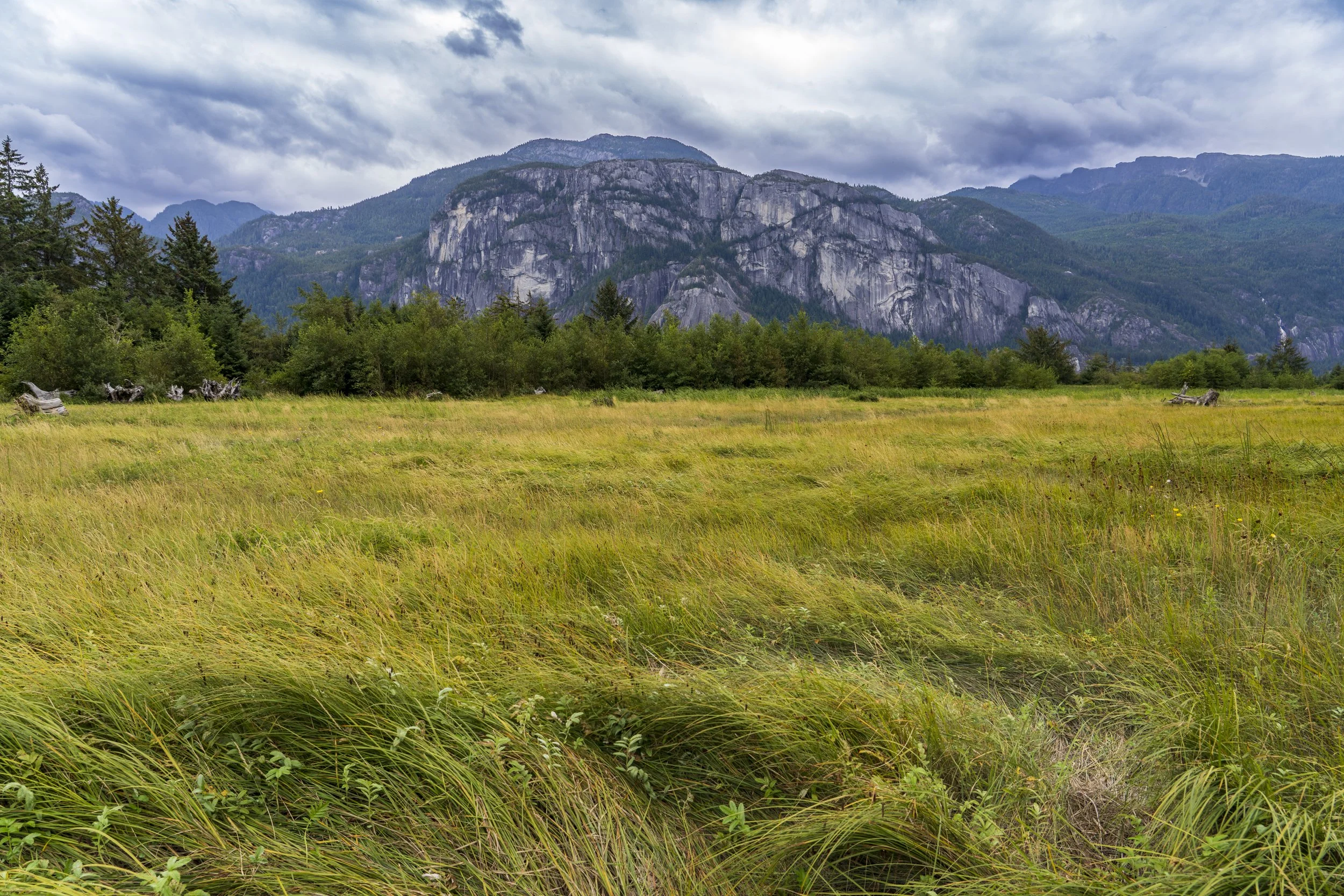 Stawamus Chief from River Estuary, Squamish