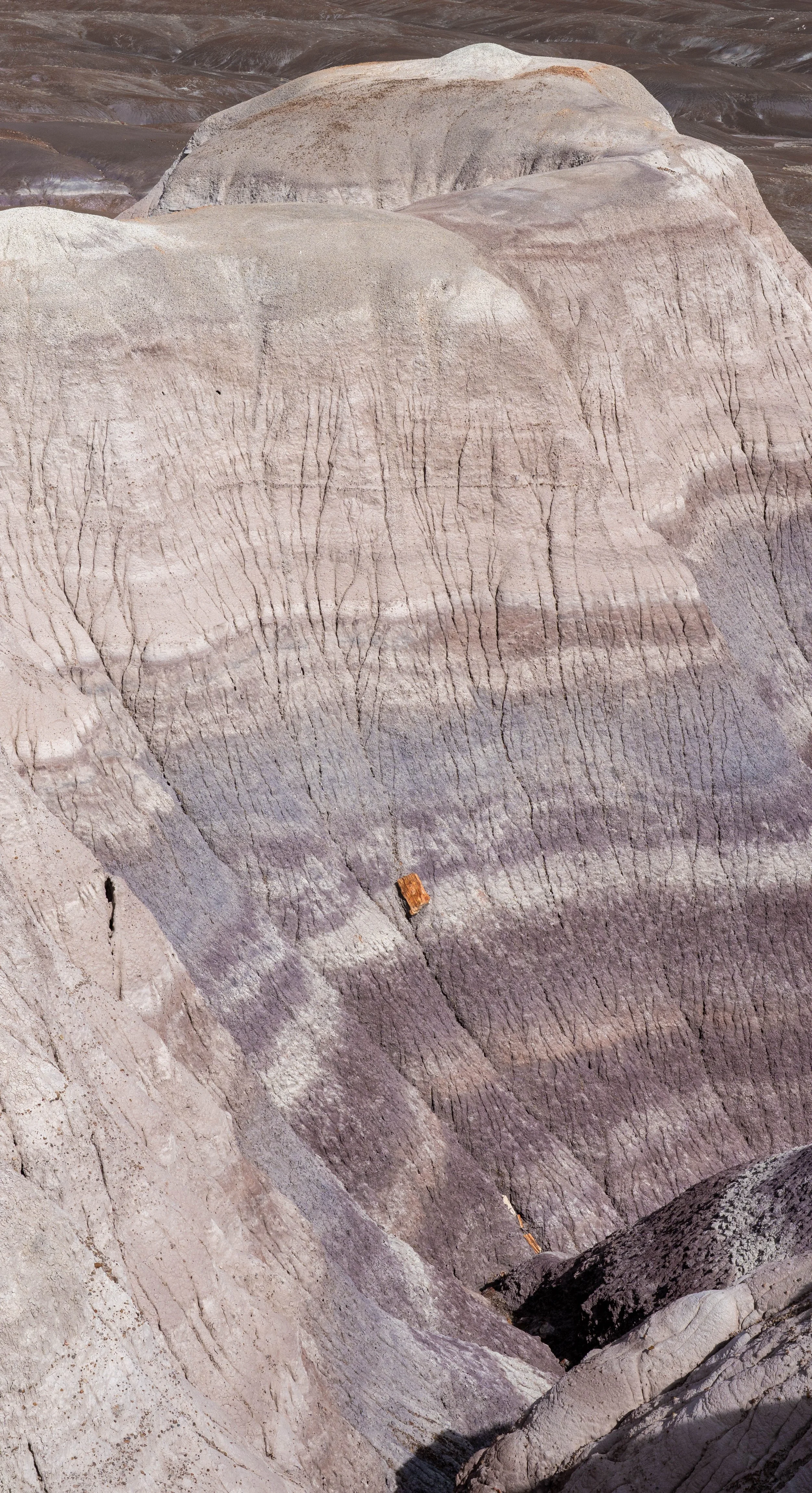 How did that get there?