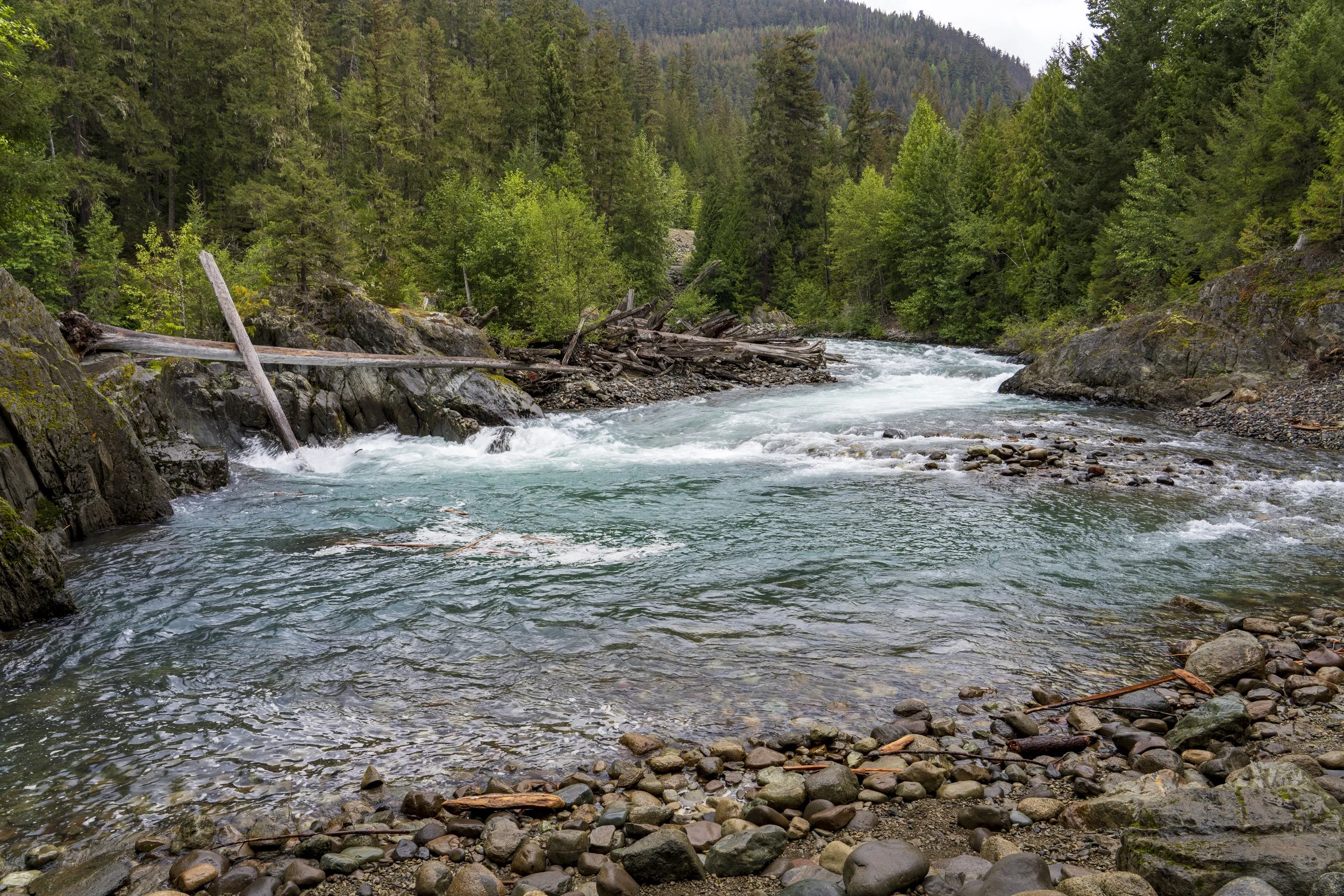 Cheakamus River, Squamish-Lillooet District
