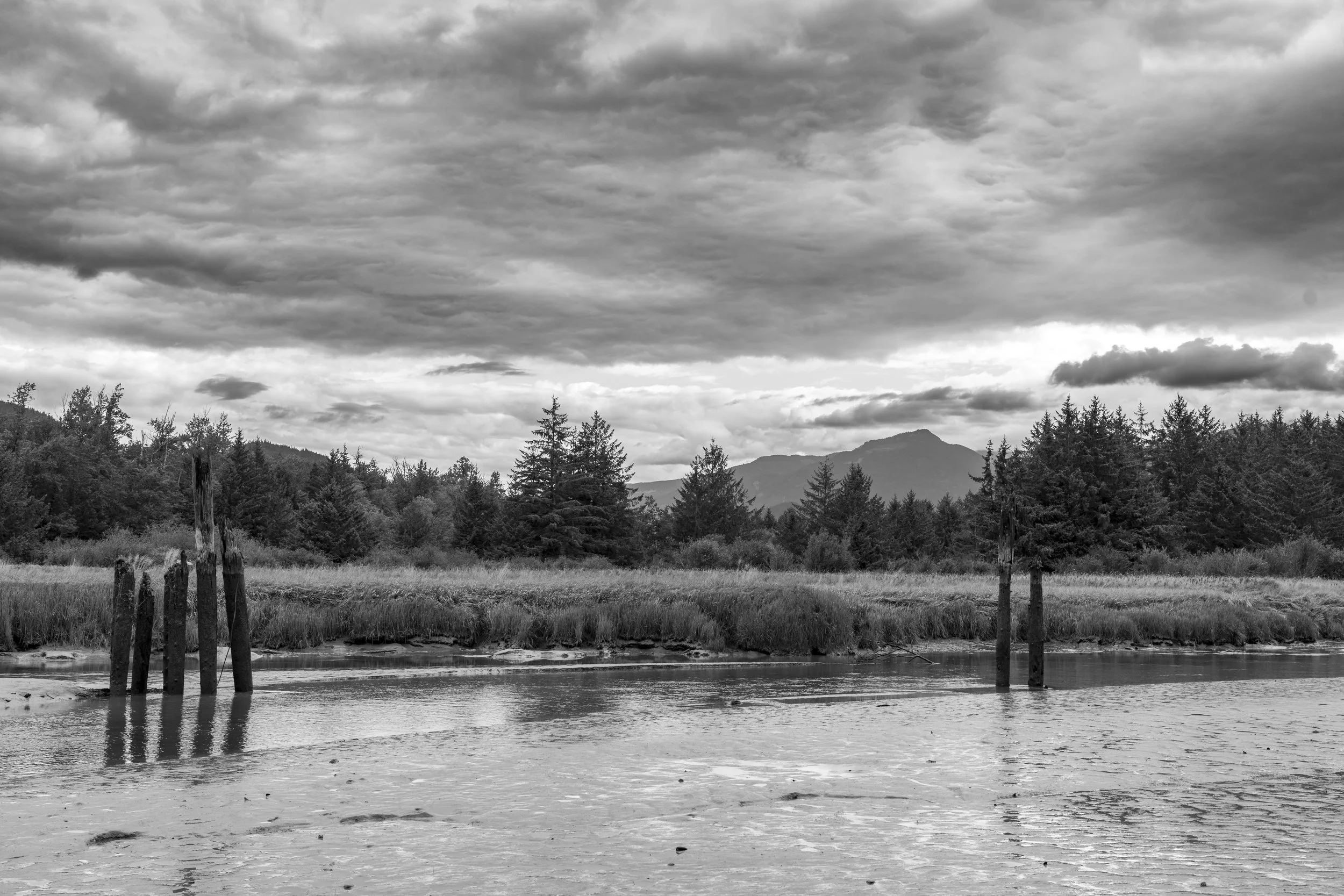 Squamish River, Squamish