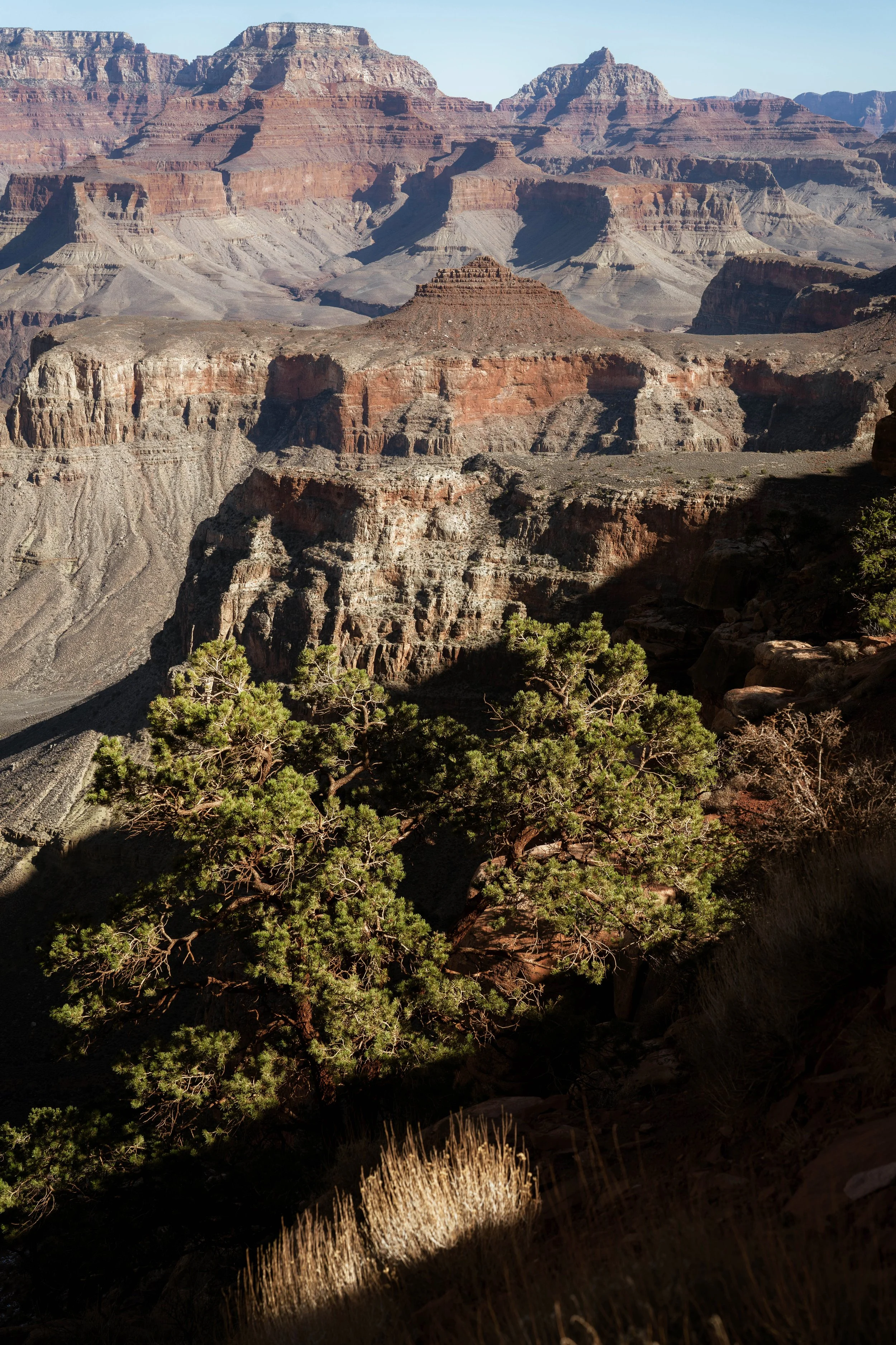 Slashing shadows on hillside, looking SE