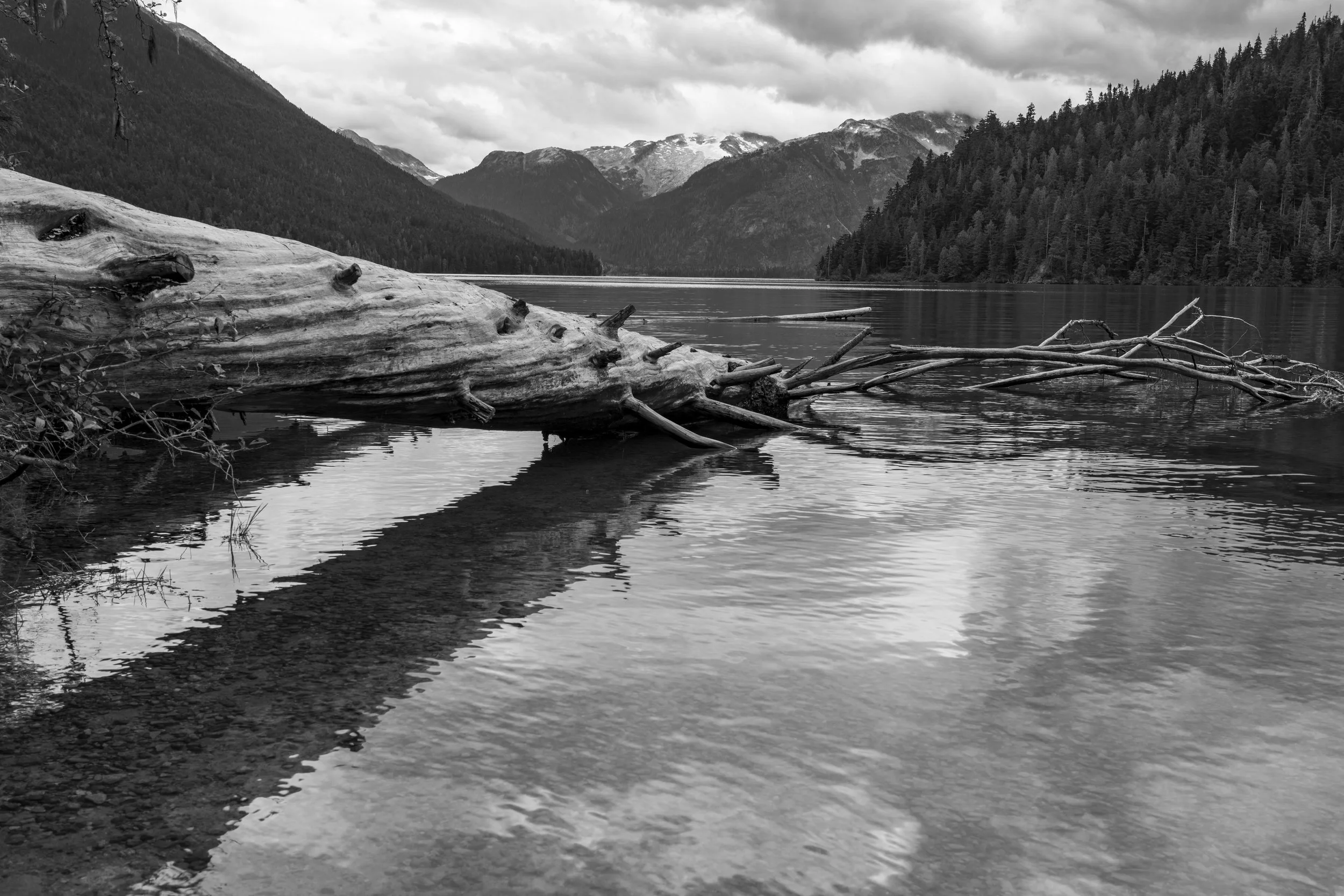 Cheakamus Lake foot, Squamish-Lillooet District