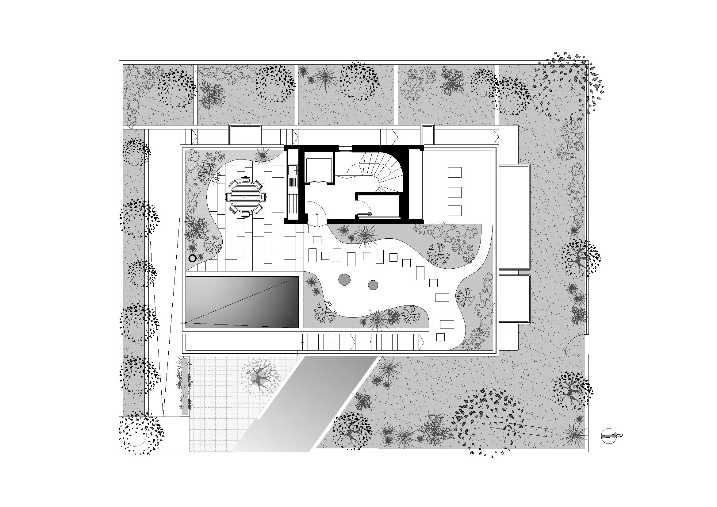 z8_ rooftopbw conv 1.jpeg