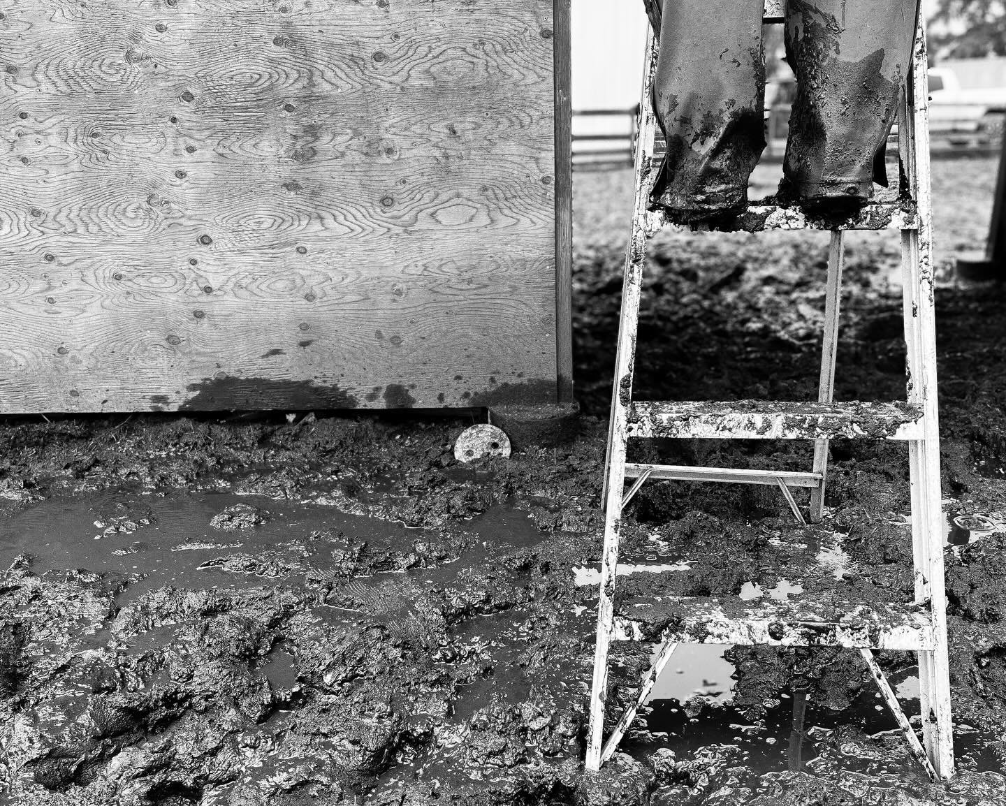 Without the rain, there would be no rainbows&hellip;but after a dry and mild fall, it seems the clouds delivered every drop we were due all at once! 

Attaching gutters to your outbuildings in the mud and pouring rain isn&rsquo;t optimal - but I neve