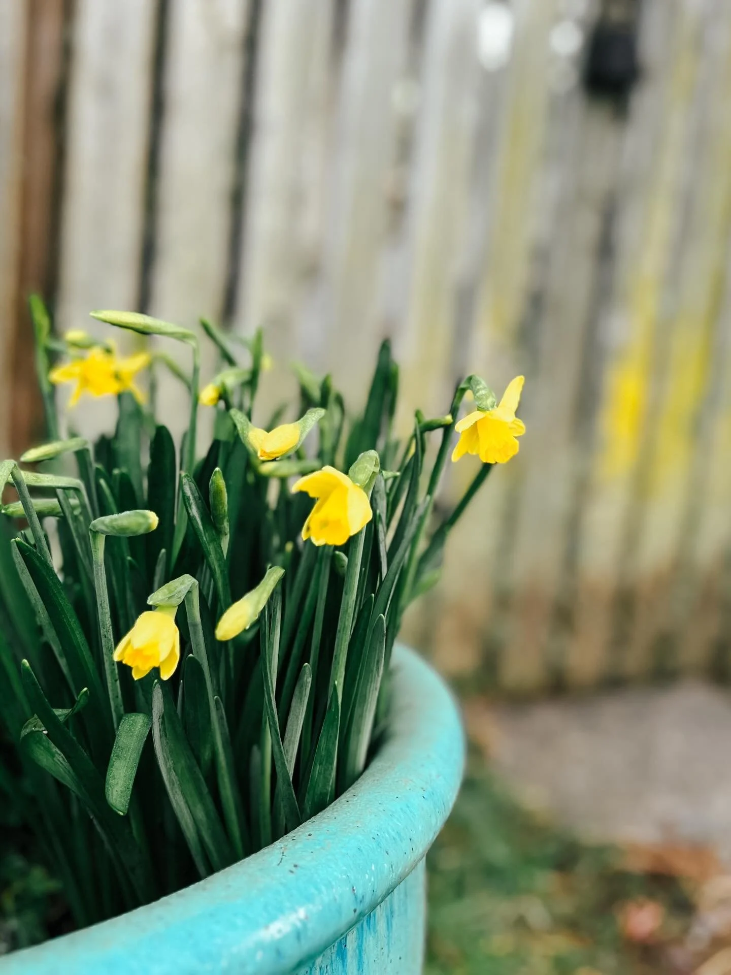 And so it begins&hellip;.

#spring2026