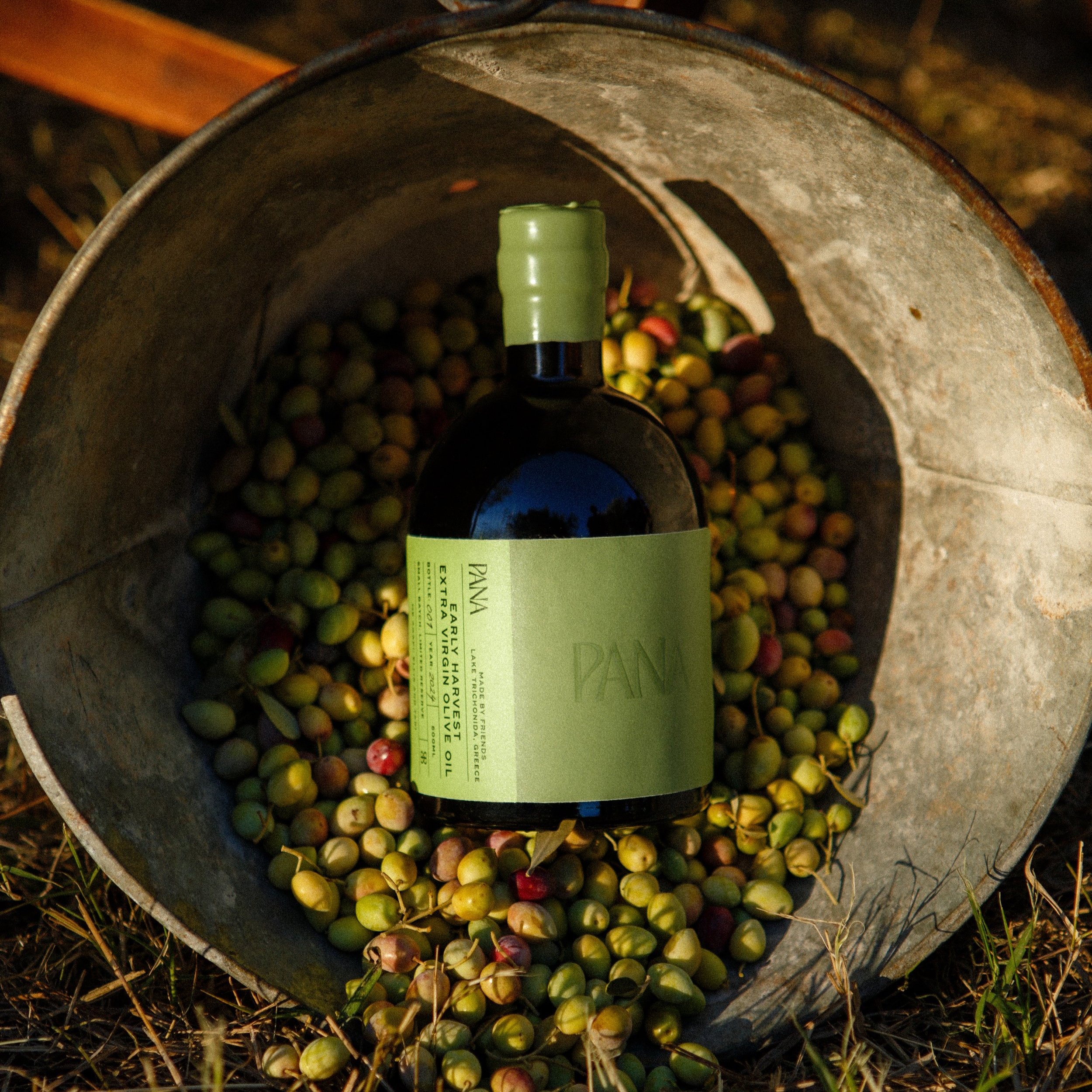 PANA - 1 (one) 500ml bottle