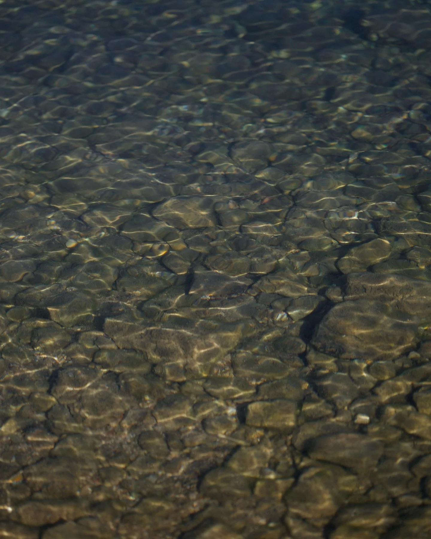 Where it all begins&hellip;

Crystal water over quiet stones. Olive branches dancing in the breeze. This is Lake Trichonida. Home to our early-harvest Koroneiki olives, and the heart of every bottle of PANA.

Made in Greece. Made by friends.

#PANAol
