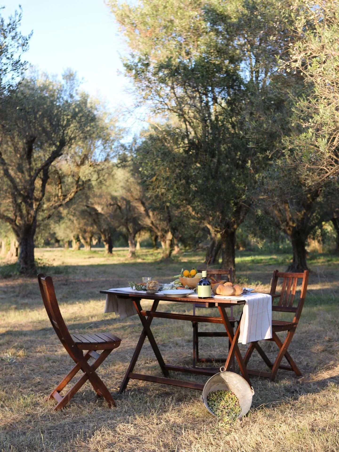 Simple meals taste better under the trees. Our next harvest is coming soon. can&rsquo;t wait to share it with you. 🌿

#PANA #oliveoil #madebyfriends
