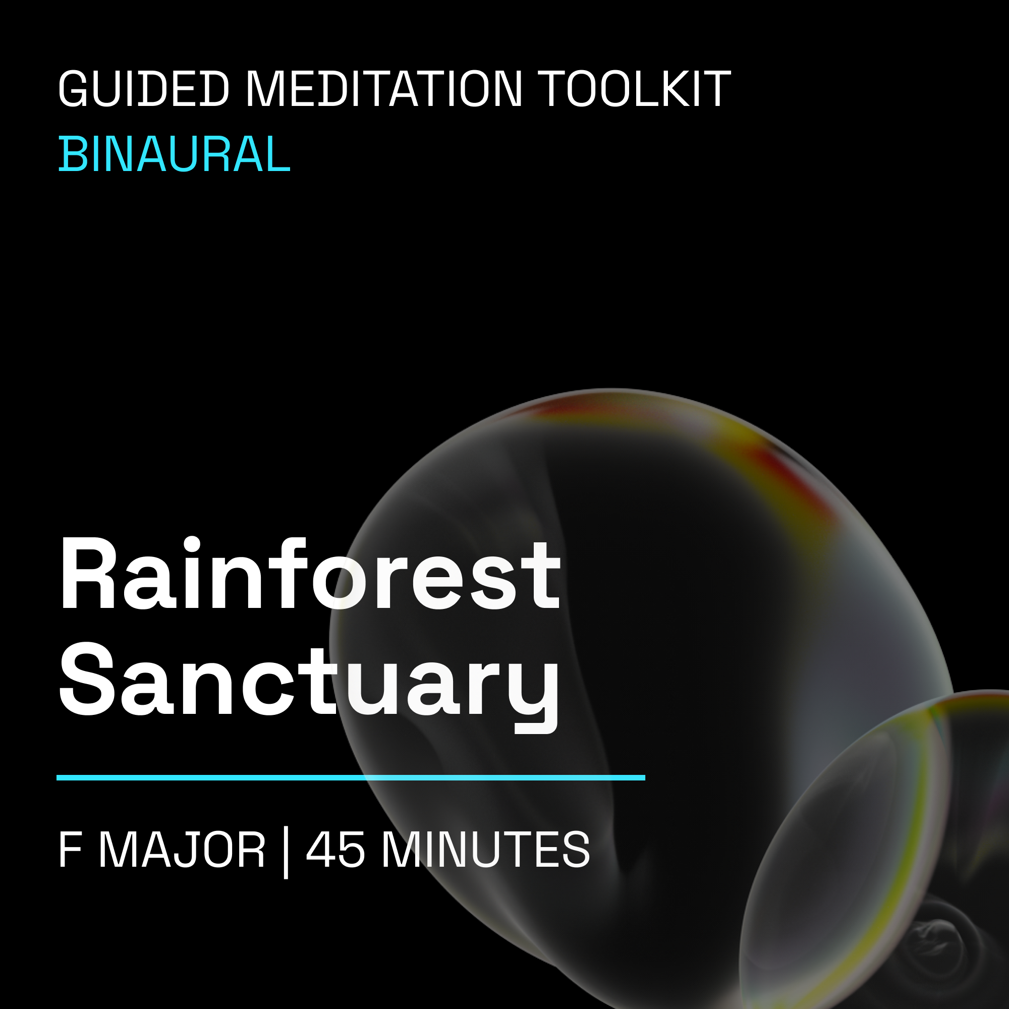Rainforest Sanctuary – 45 Minute Guided Meditation Toolkit (Binaural)