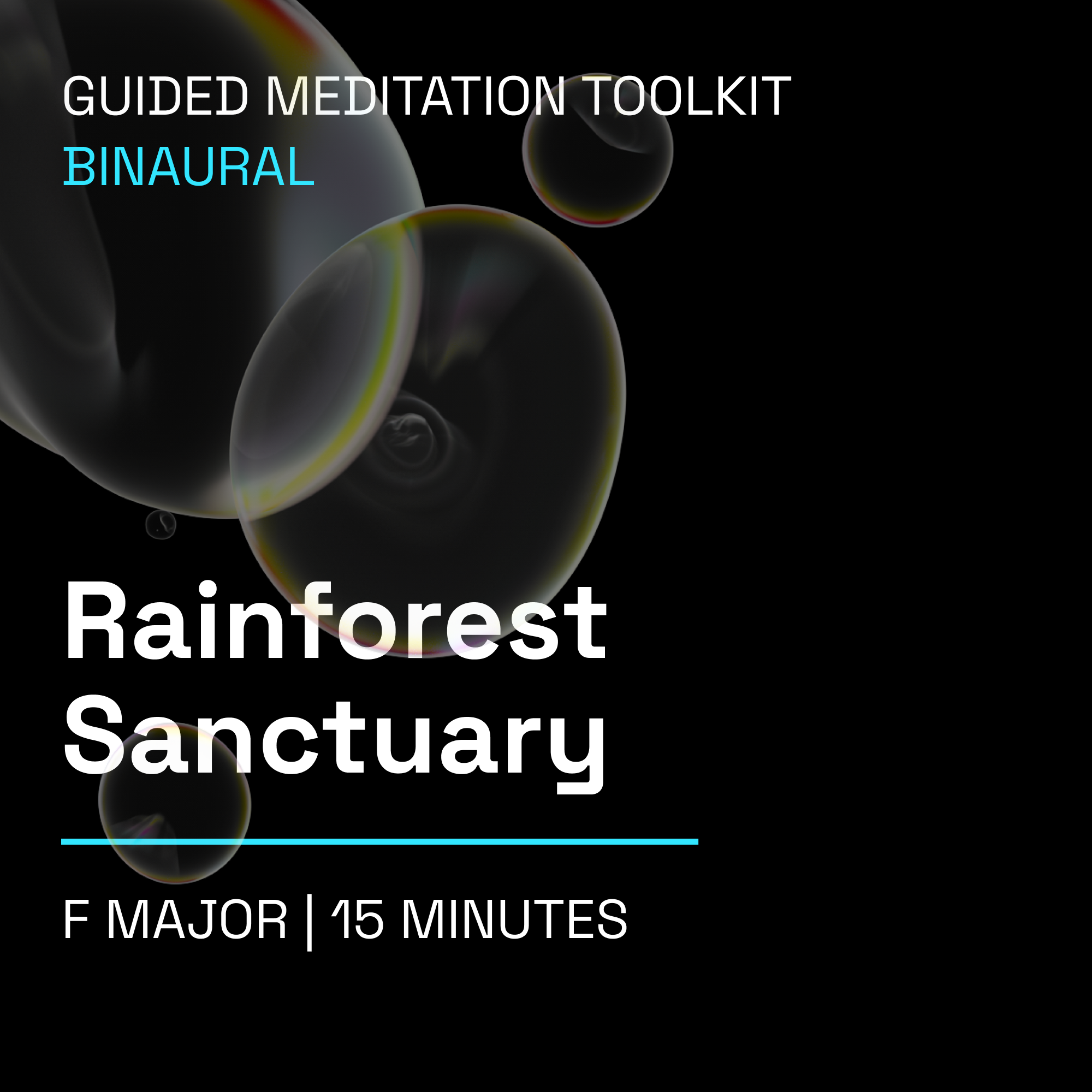 Rainforest Sanctuary – 15 Minute Guided Meditation Toolkit (Binaural)