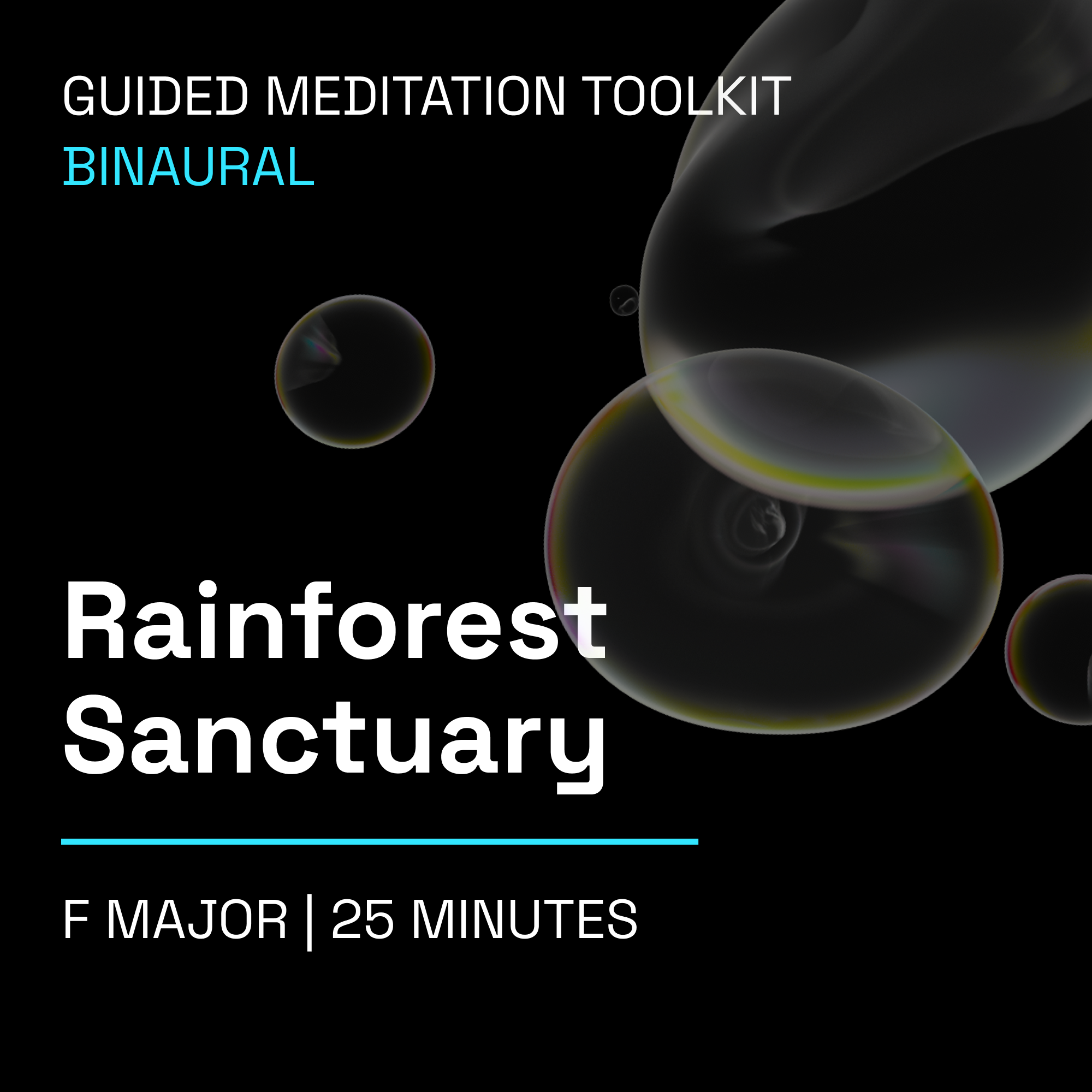 Rainforest Sanctuary – 25 Minute Guided Meditation Toolkit (Binaural)