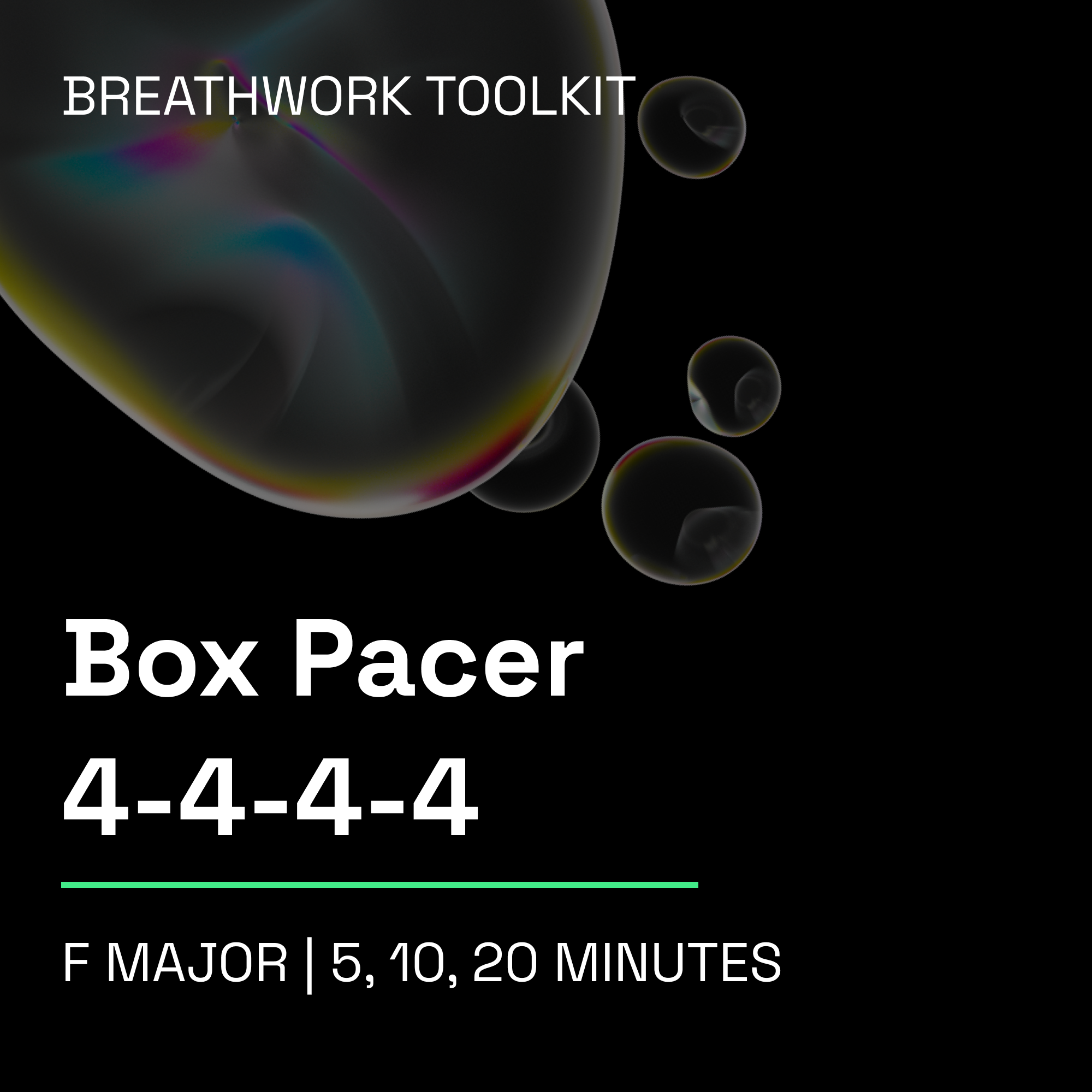 Box Pacer - All Lengths.png