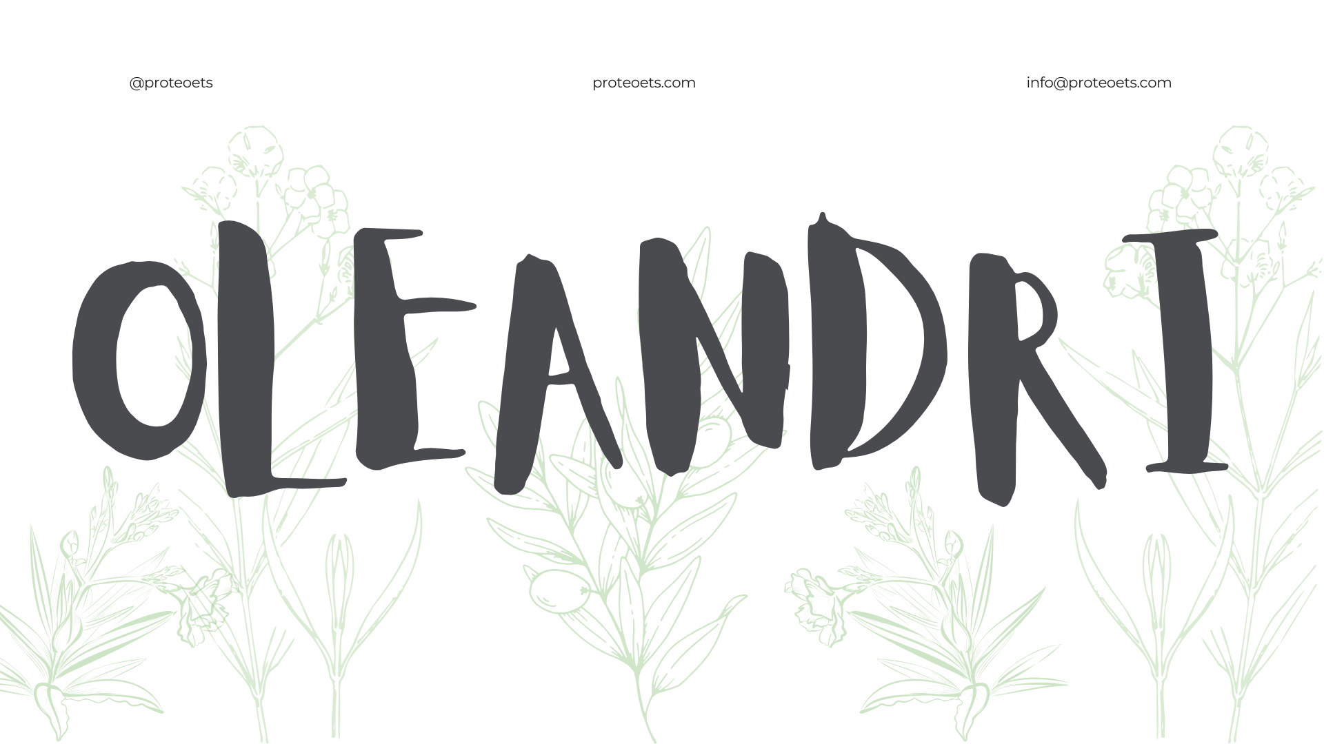 Grafica con il nome 'Olander' scritto in caratteri grandi e stilizzati, sullo sfondo ci sono disegni leggeri di piante e fiori verdi.