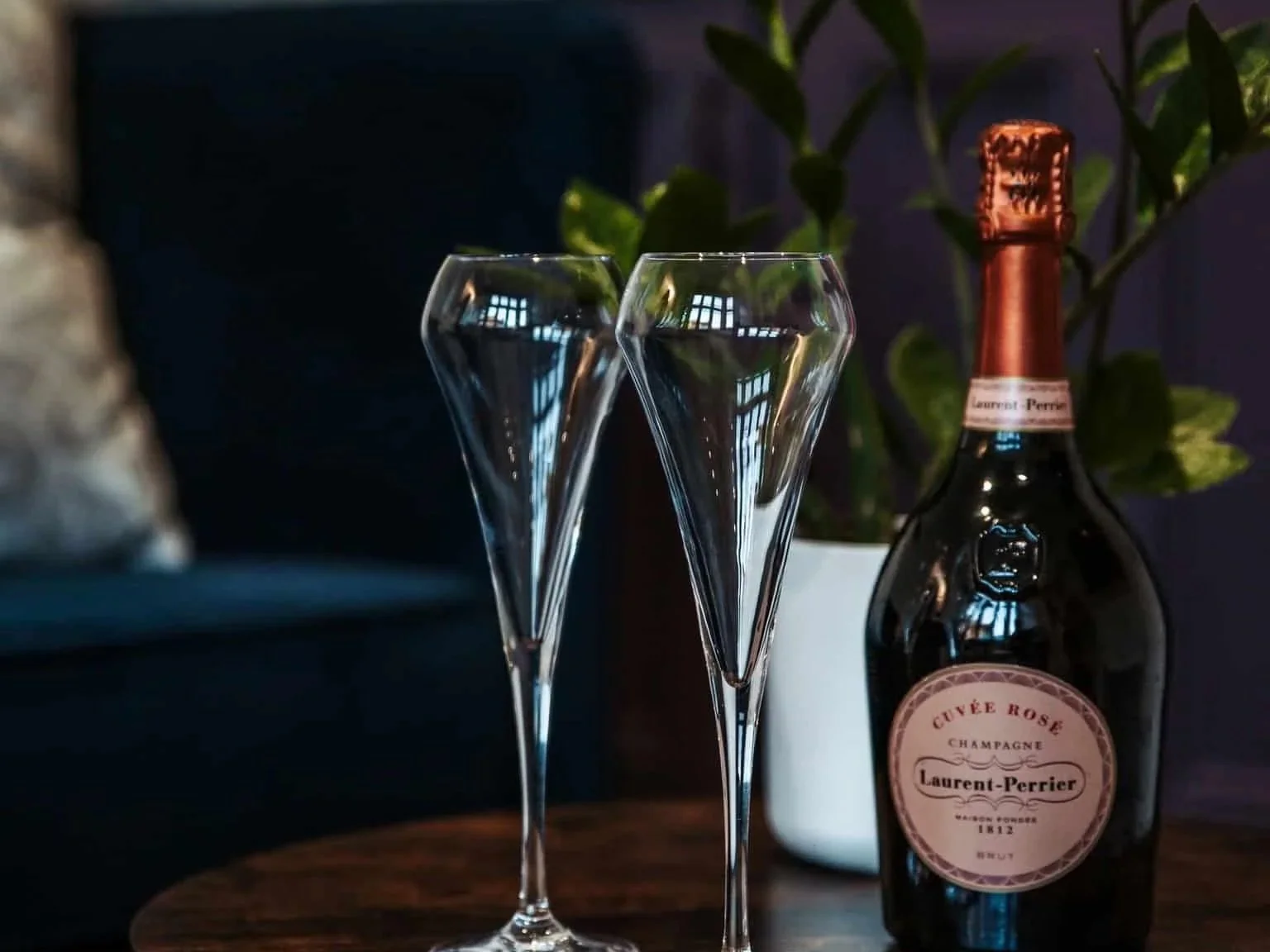 Two champagne flutes and a bottle of Laurent Perrier champagne on a dark wooden table, with green plants in a white pot in the background.