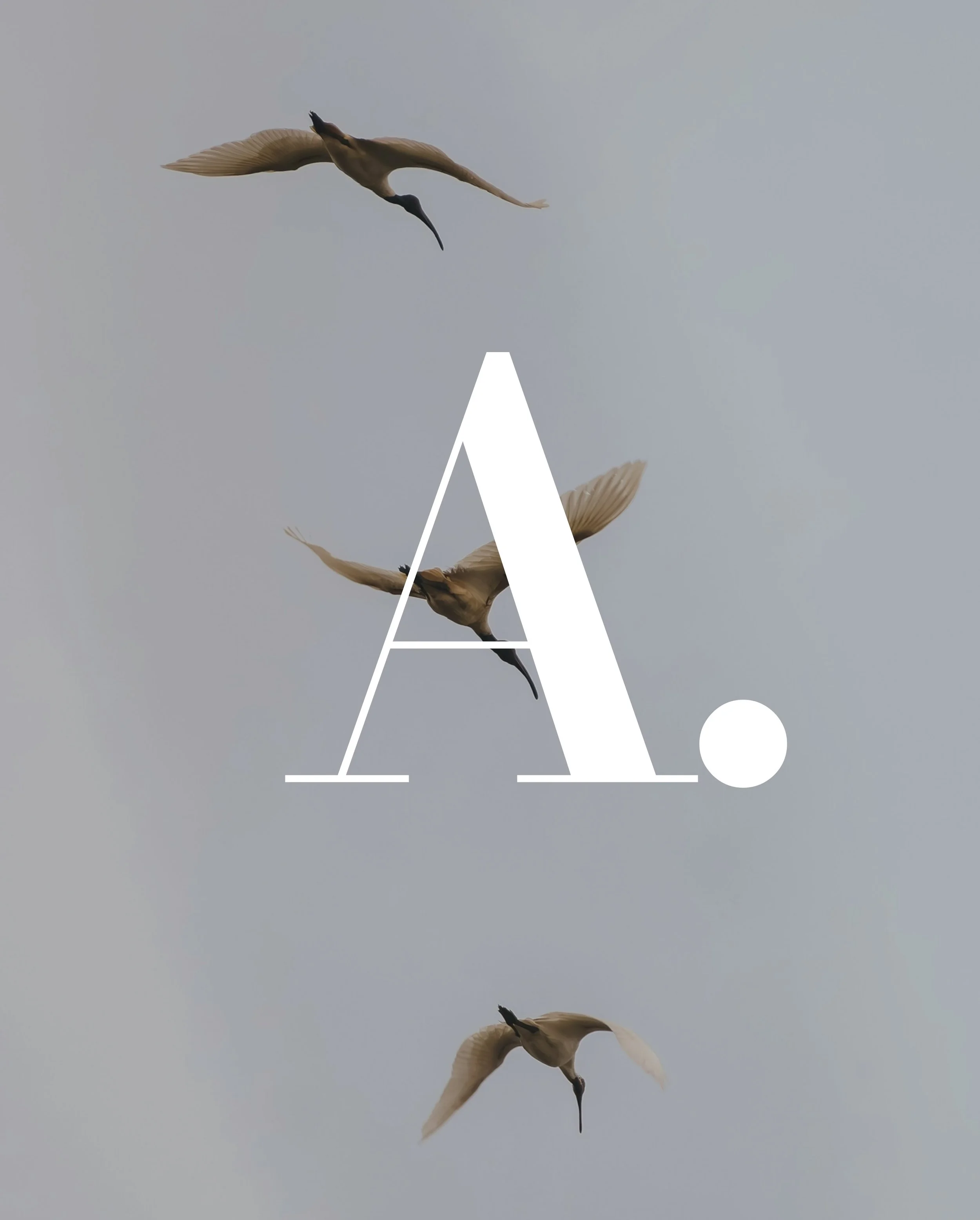Three birds flying in a cloudy sky with a large white letter 'A' and a dot in the foreground.