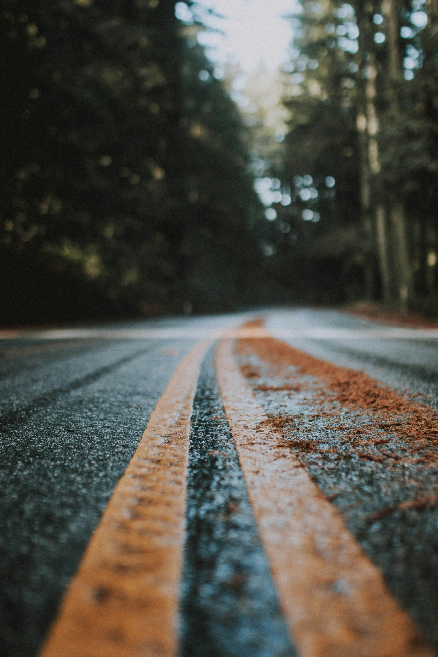 Close-up view of a wet two-lane road with double yellow lines, bordered by a forest with tall trees, during daytime.