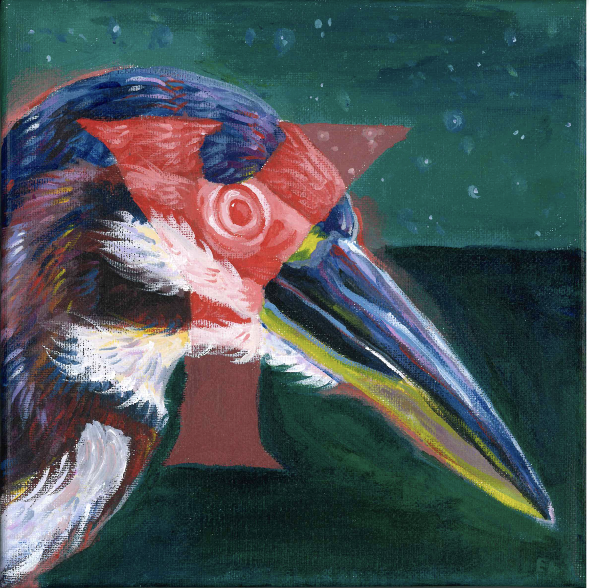 Green Heron
