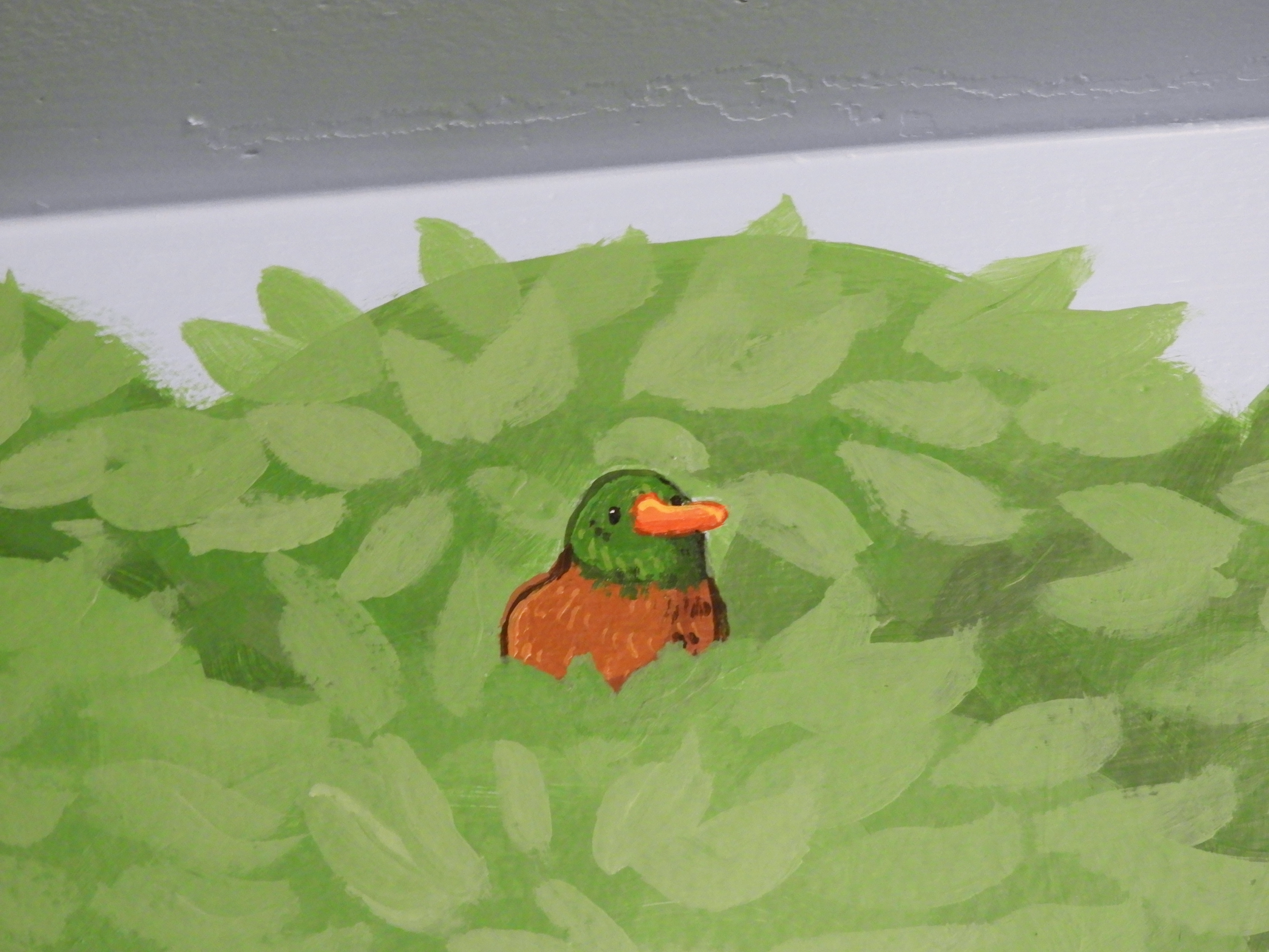 little mallard close shot.png