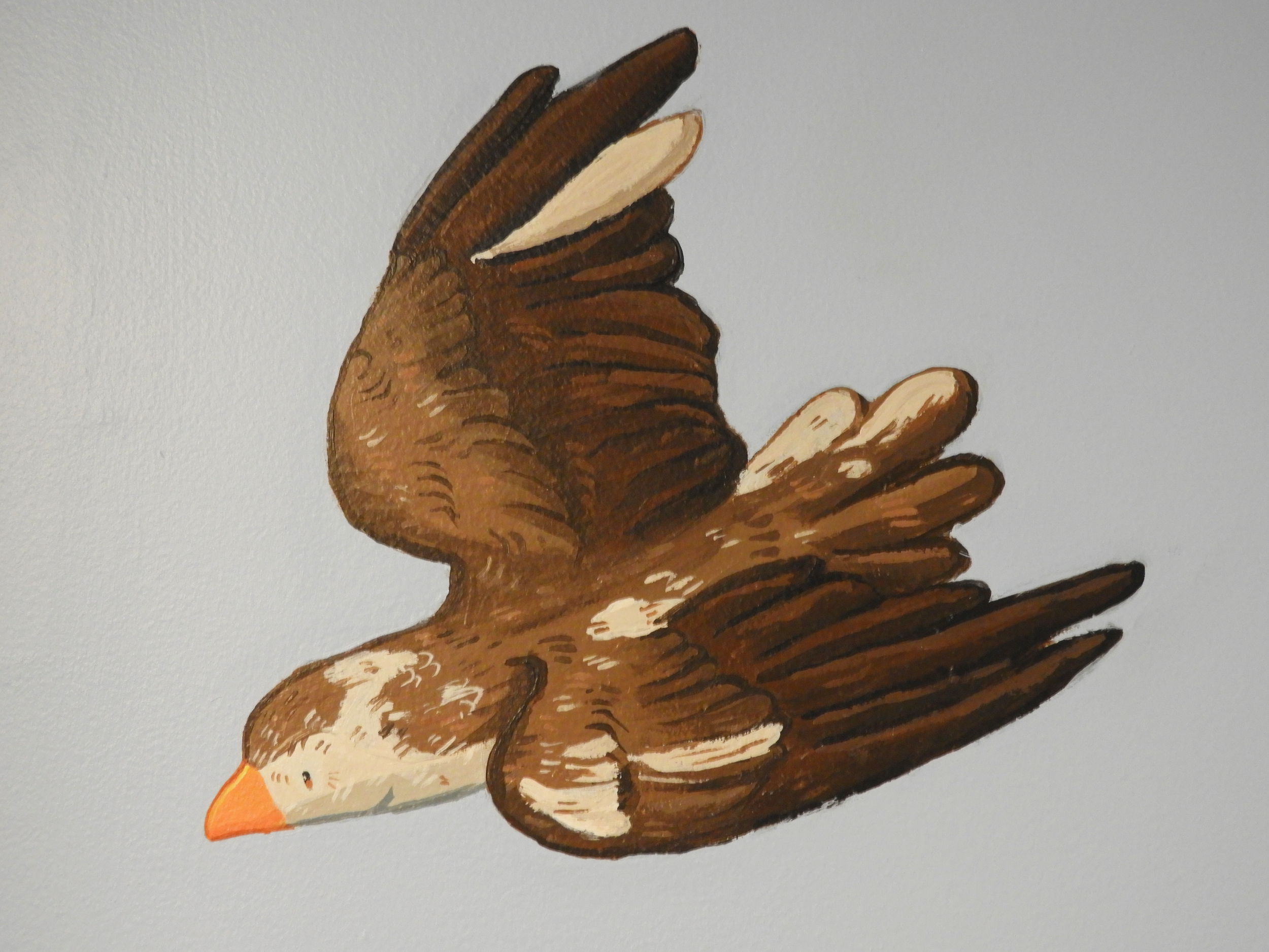 piebald sparrow back wall close shot.png