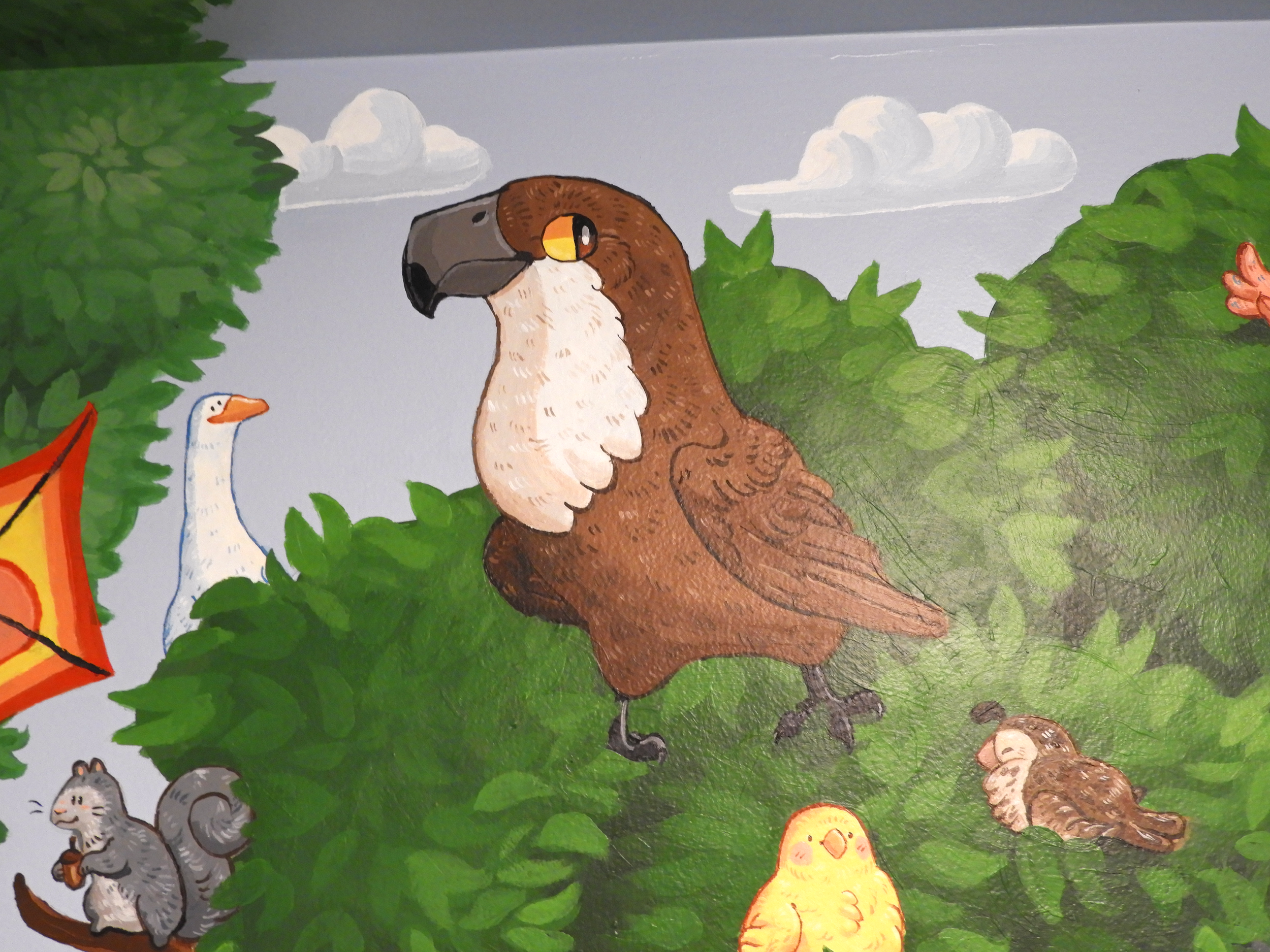 Hawk close shot.png