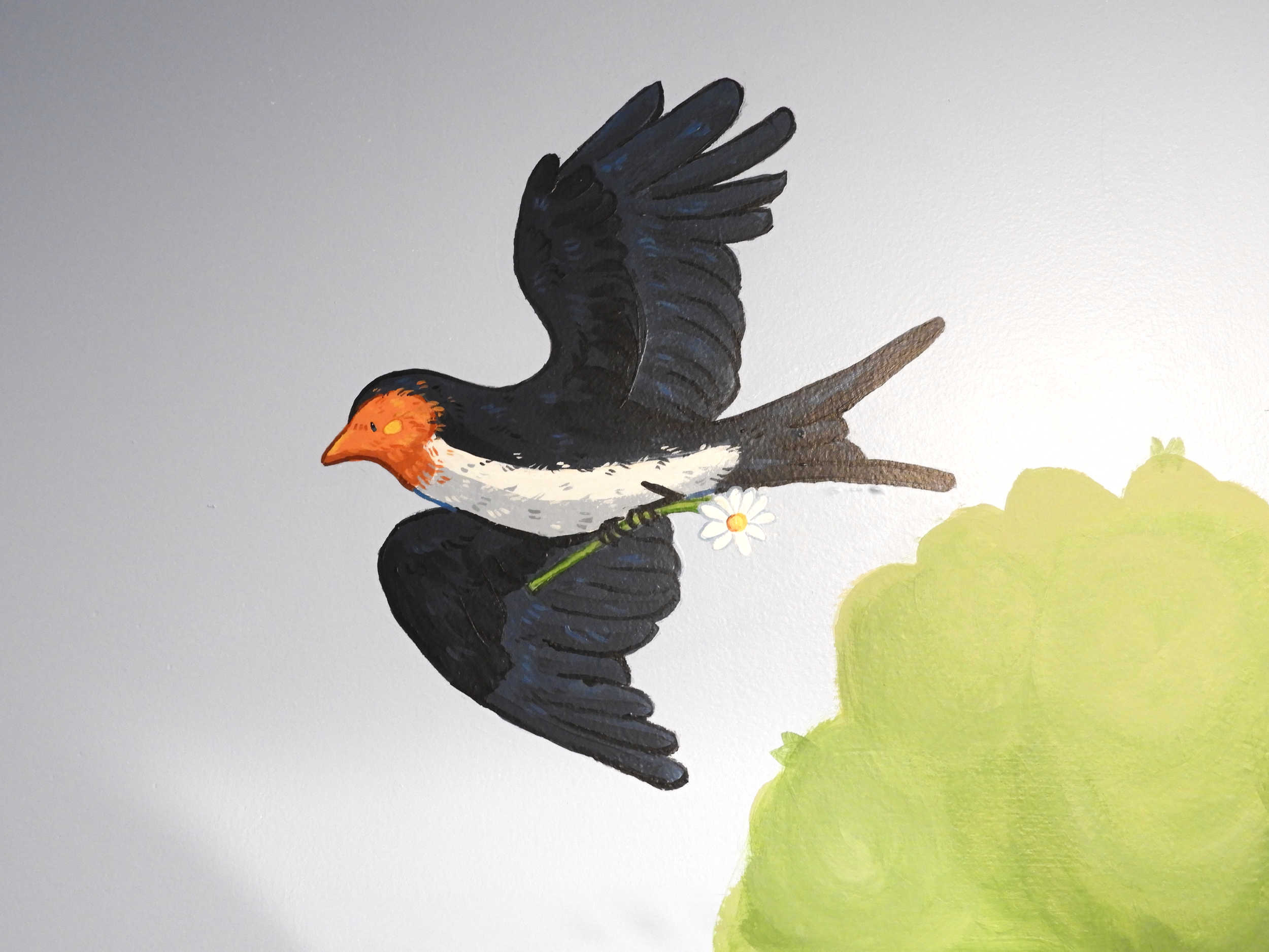 Swallow close shot.png
