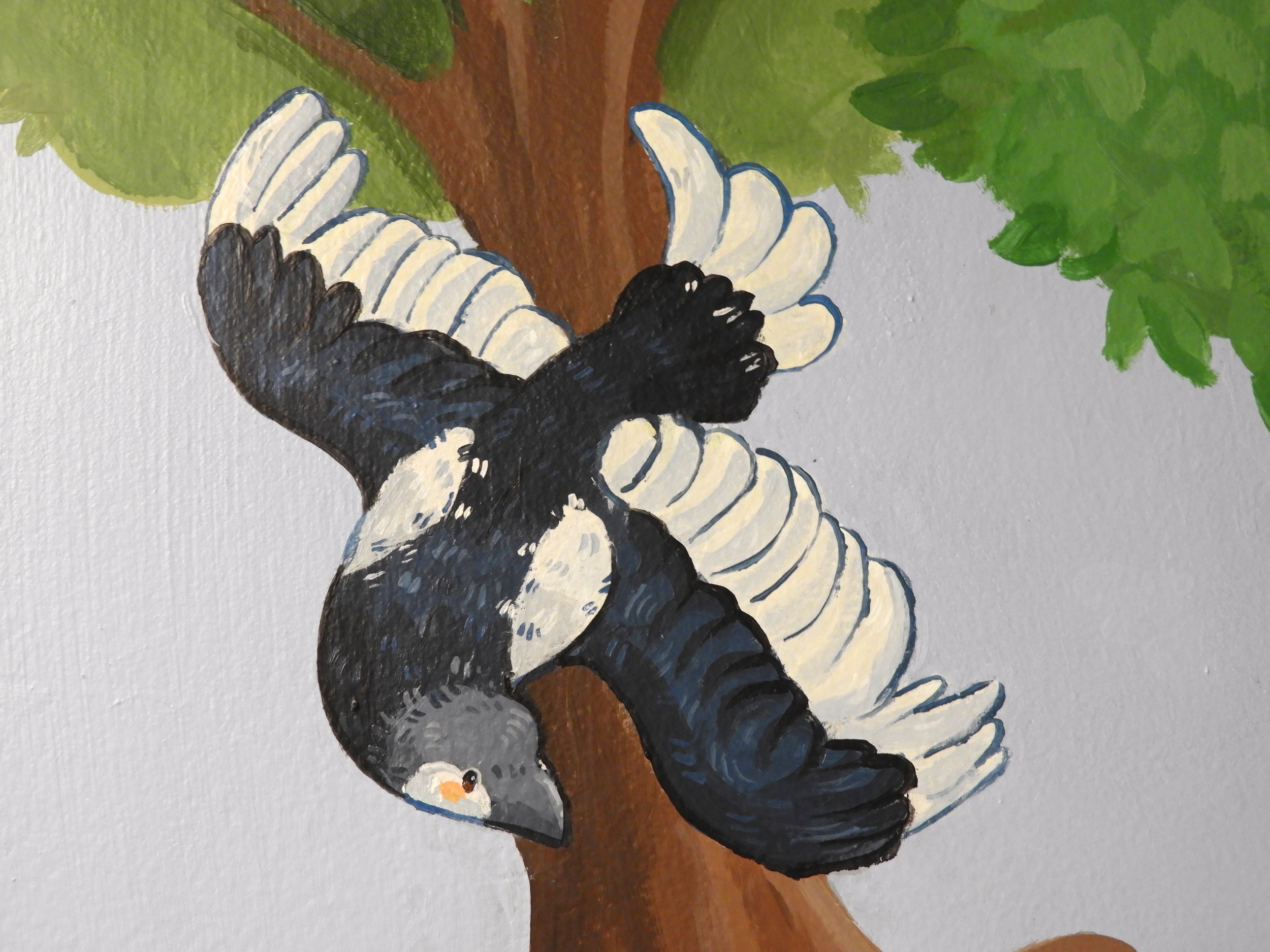 Magpie close shot.png