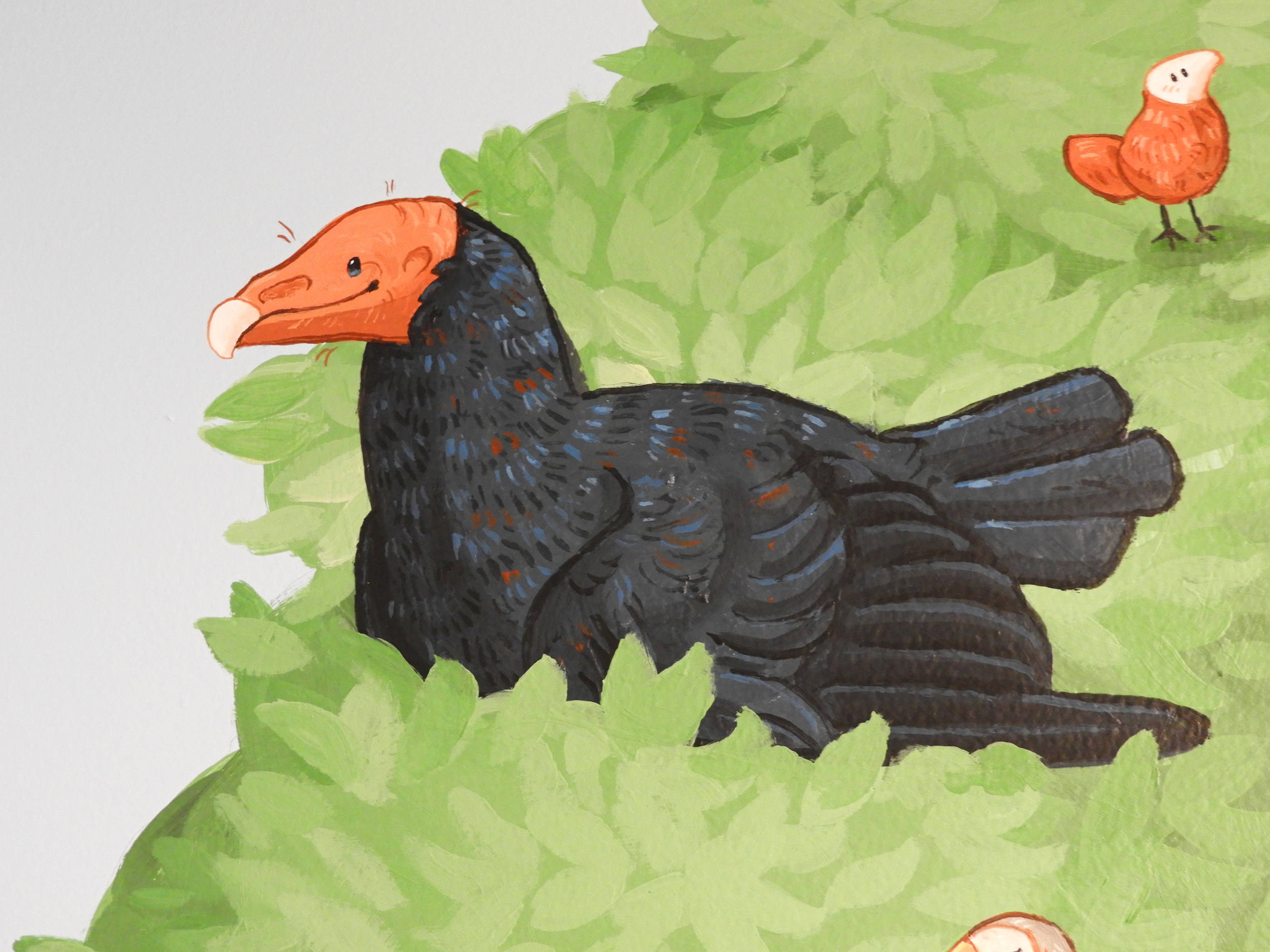 turkey vulture close shot.png