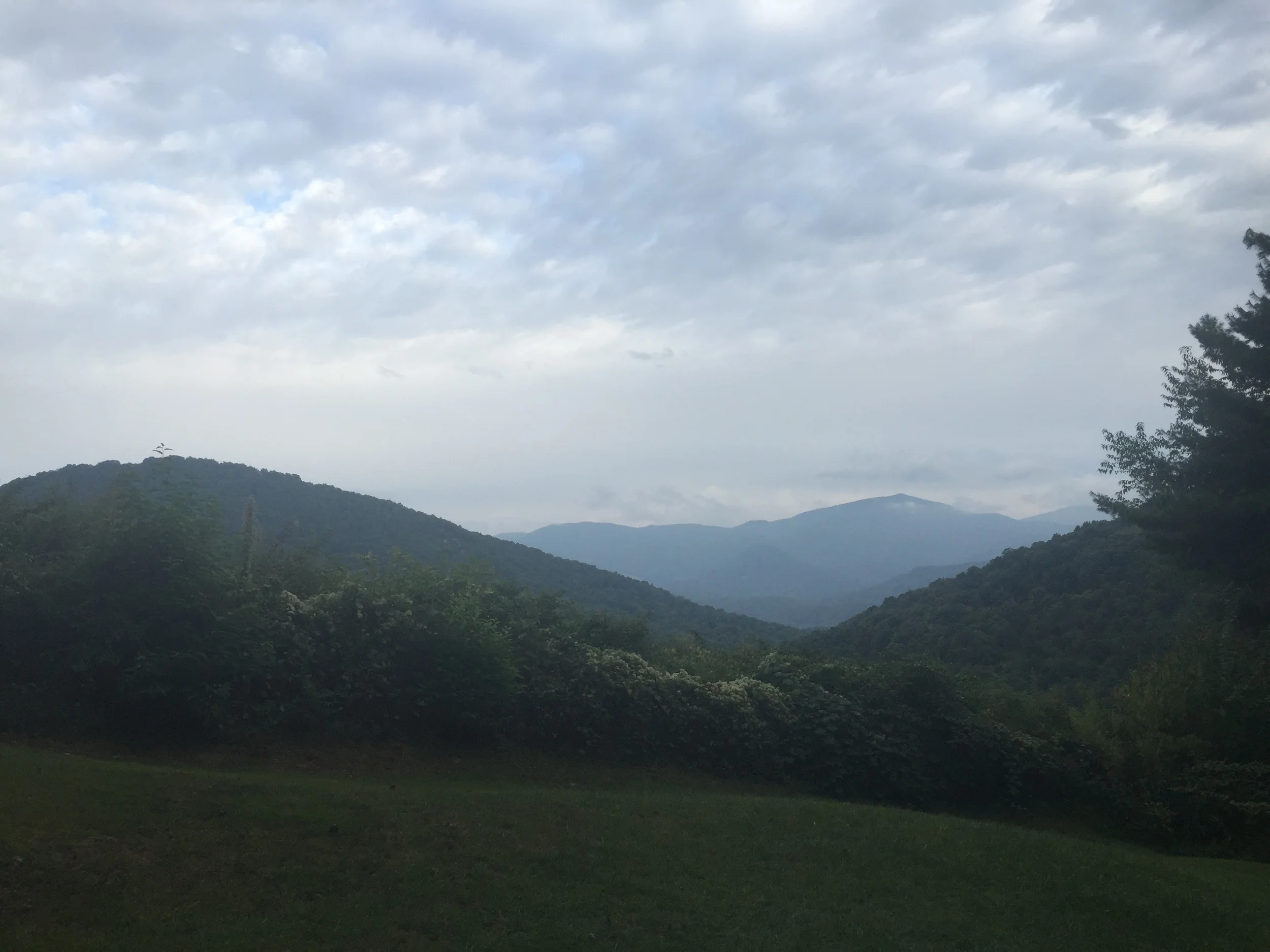IMG_7275.JPG