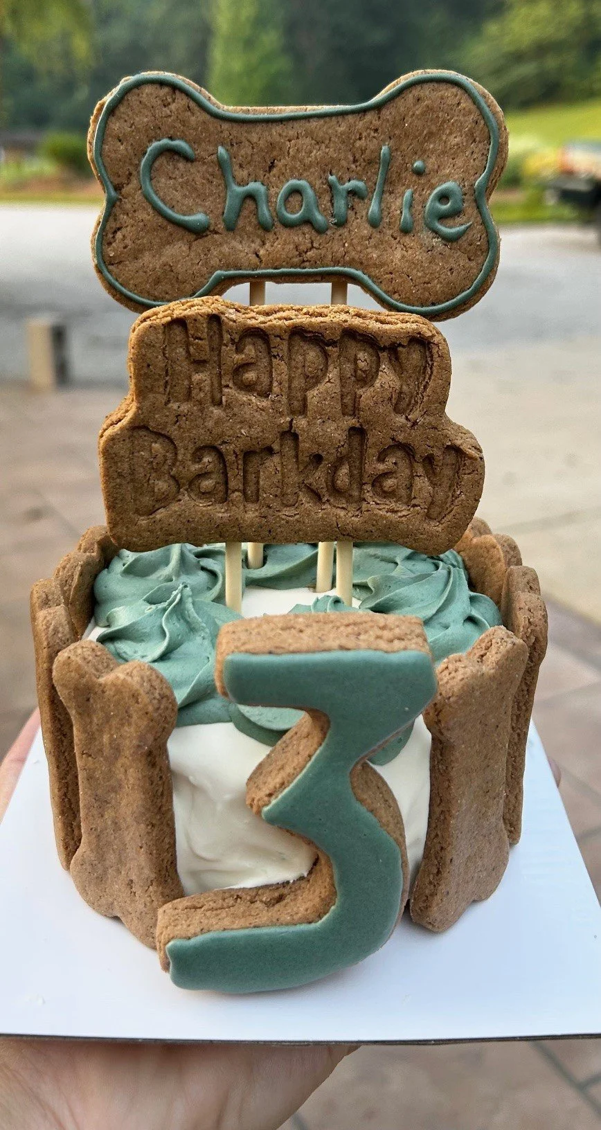 barkday cake green.jpg