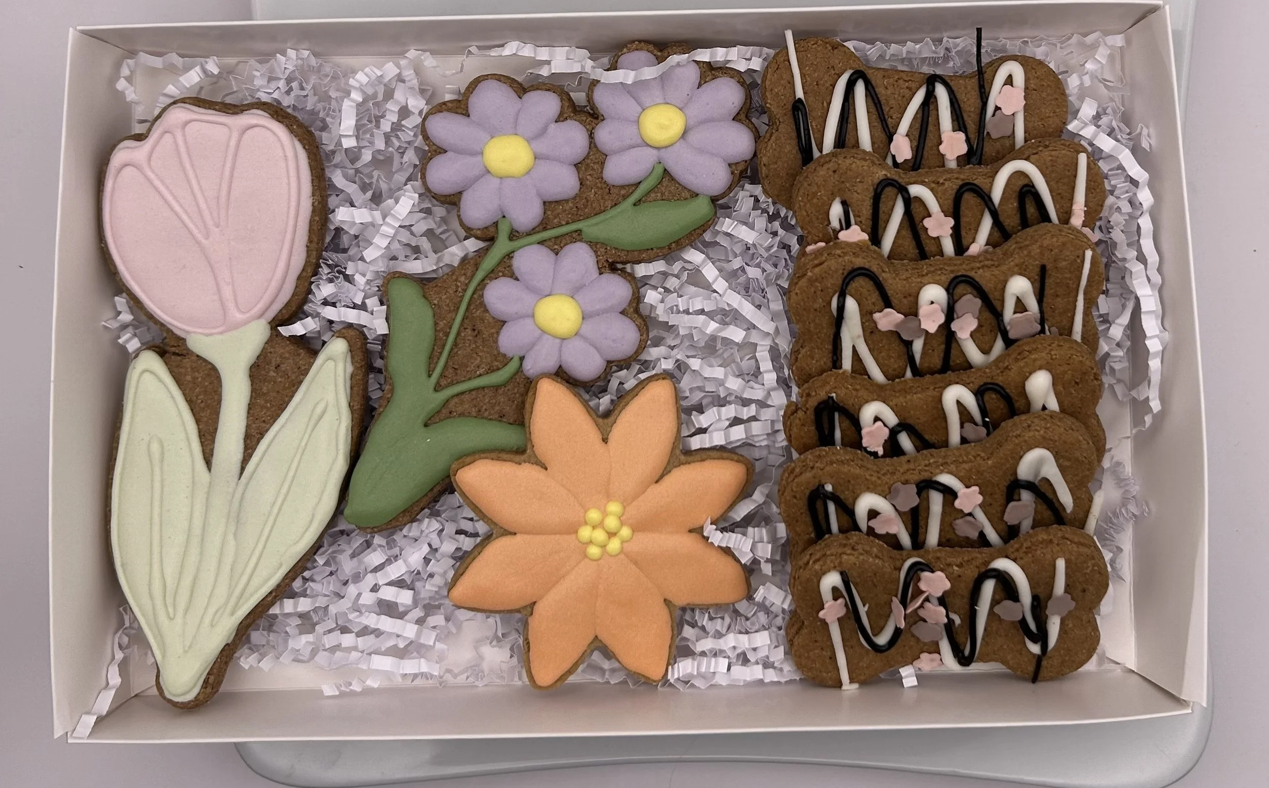 Mixed Box of Natural Dog Treats