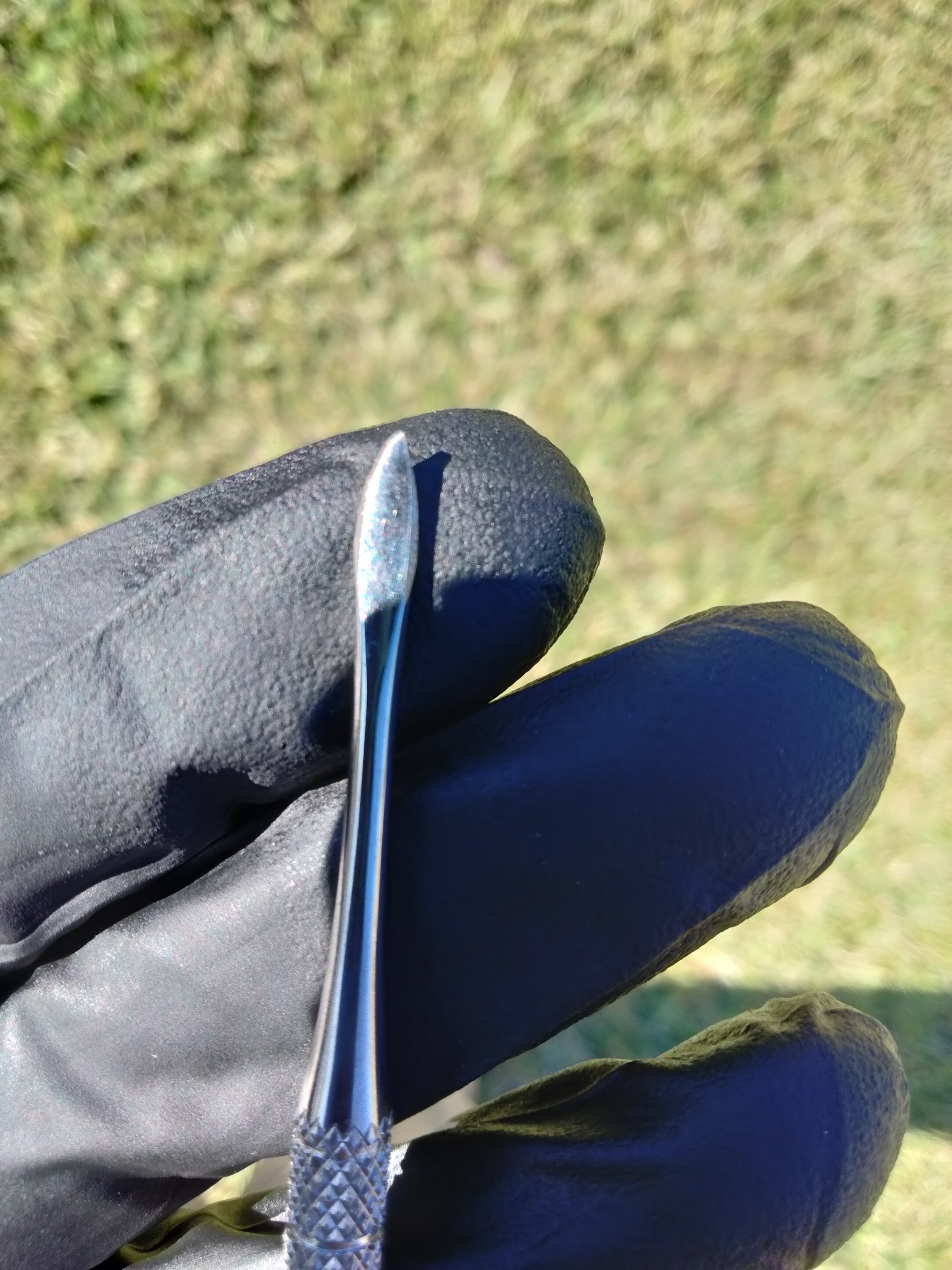 IMG20241121132606.jpg