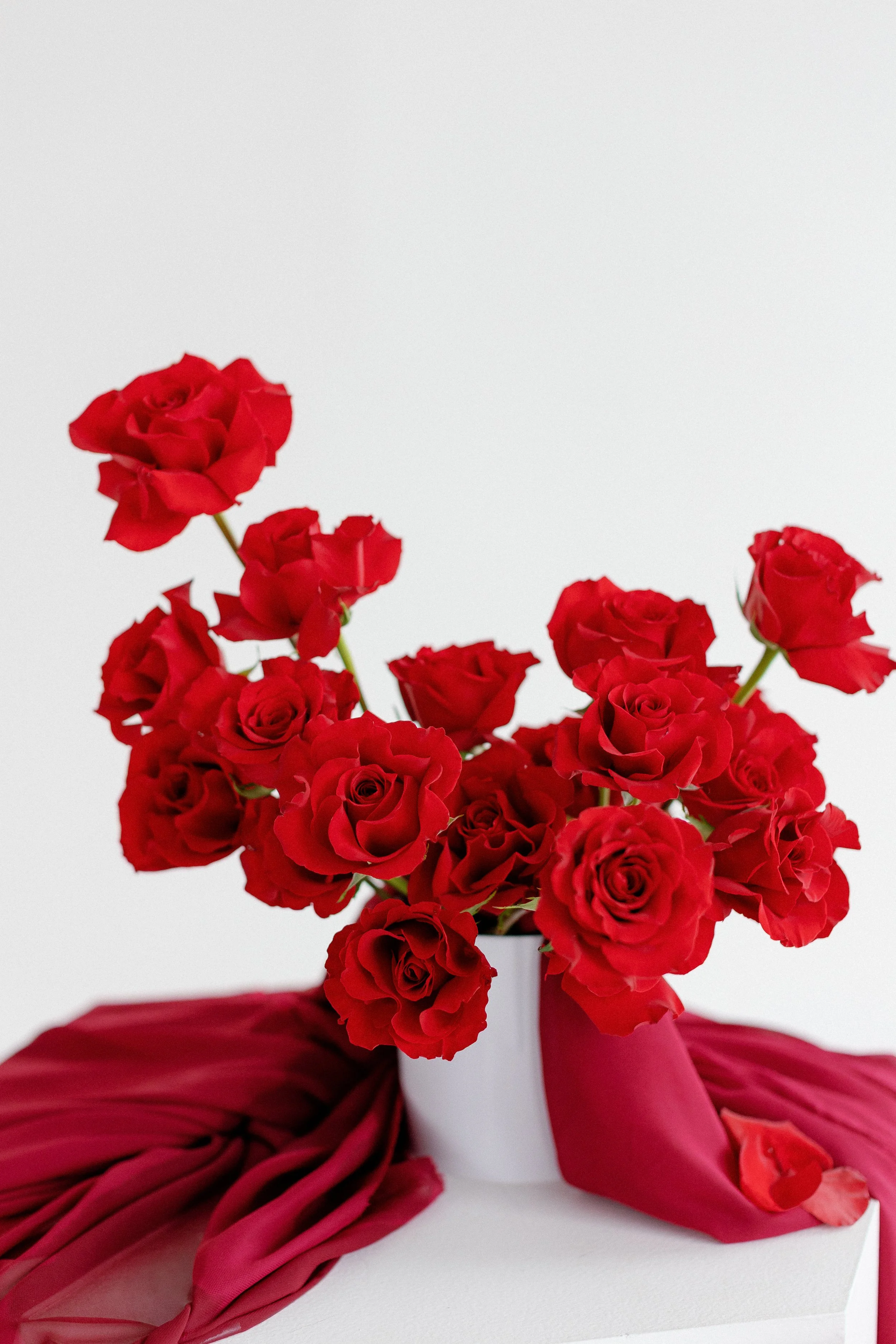 A bouquet of Valentine's Day red roses in a white vase, with red fabric draped around the base, against a plain white background at The Alexander in Rochester, NY