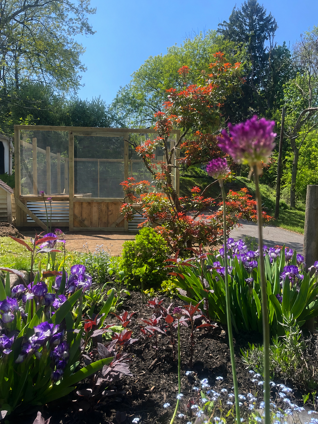 Part IV: Building Our Tiny Homestead