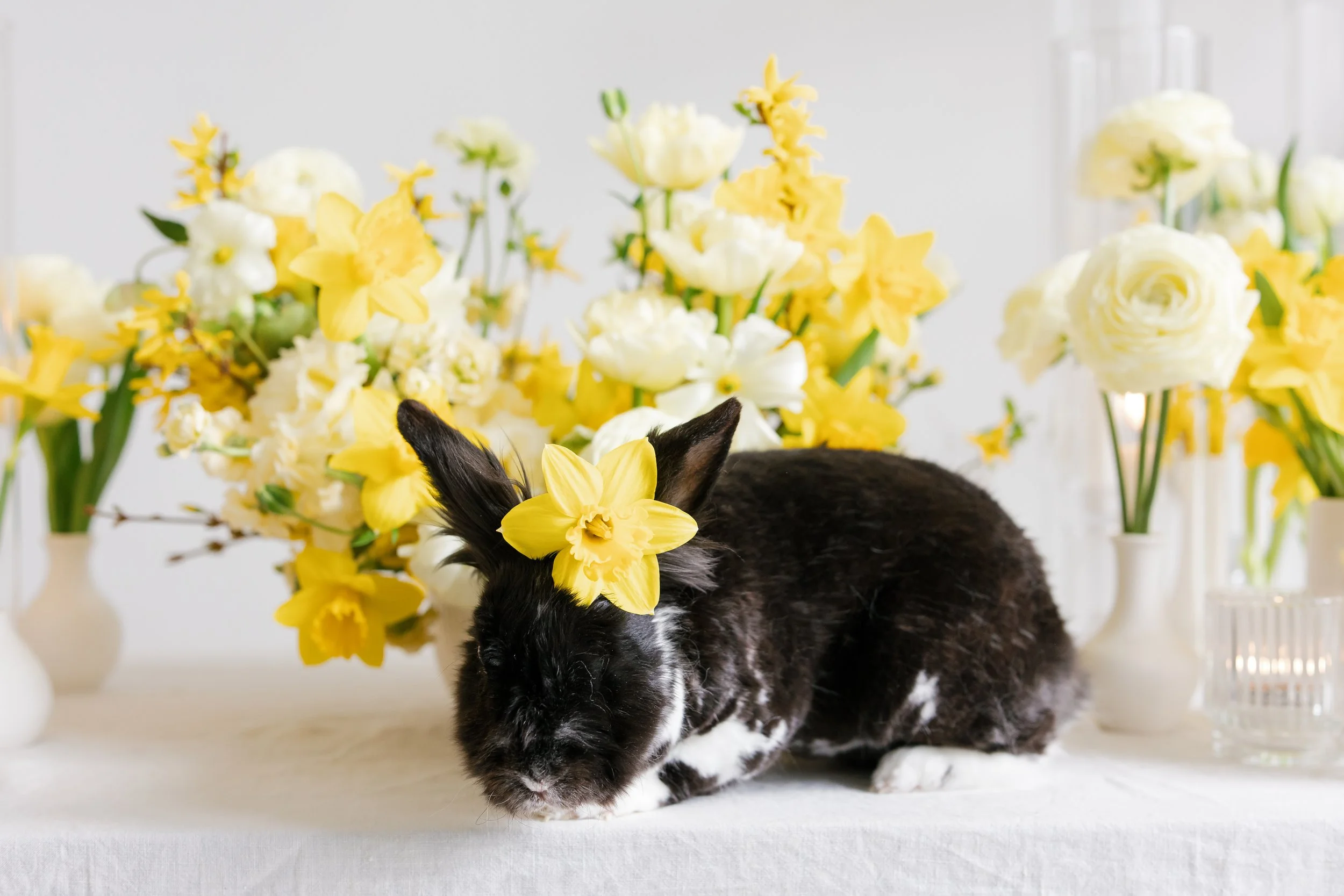 Black and white rabbit with a yellow flower on its head, surrounded by yellow and white flowers in vases.
