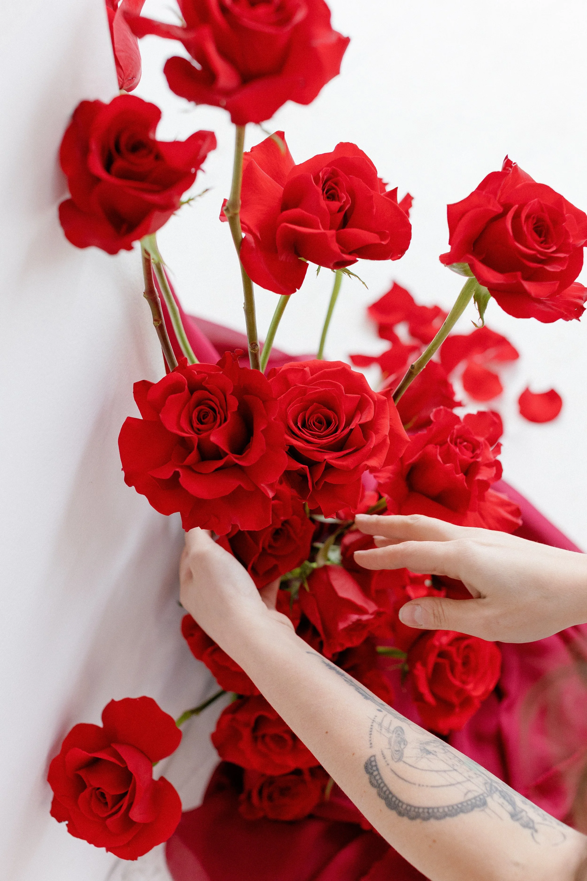 Hands arranging a bouquet of red roses against a white background.