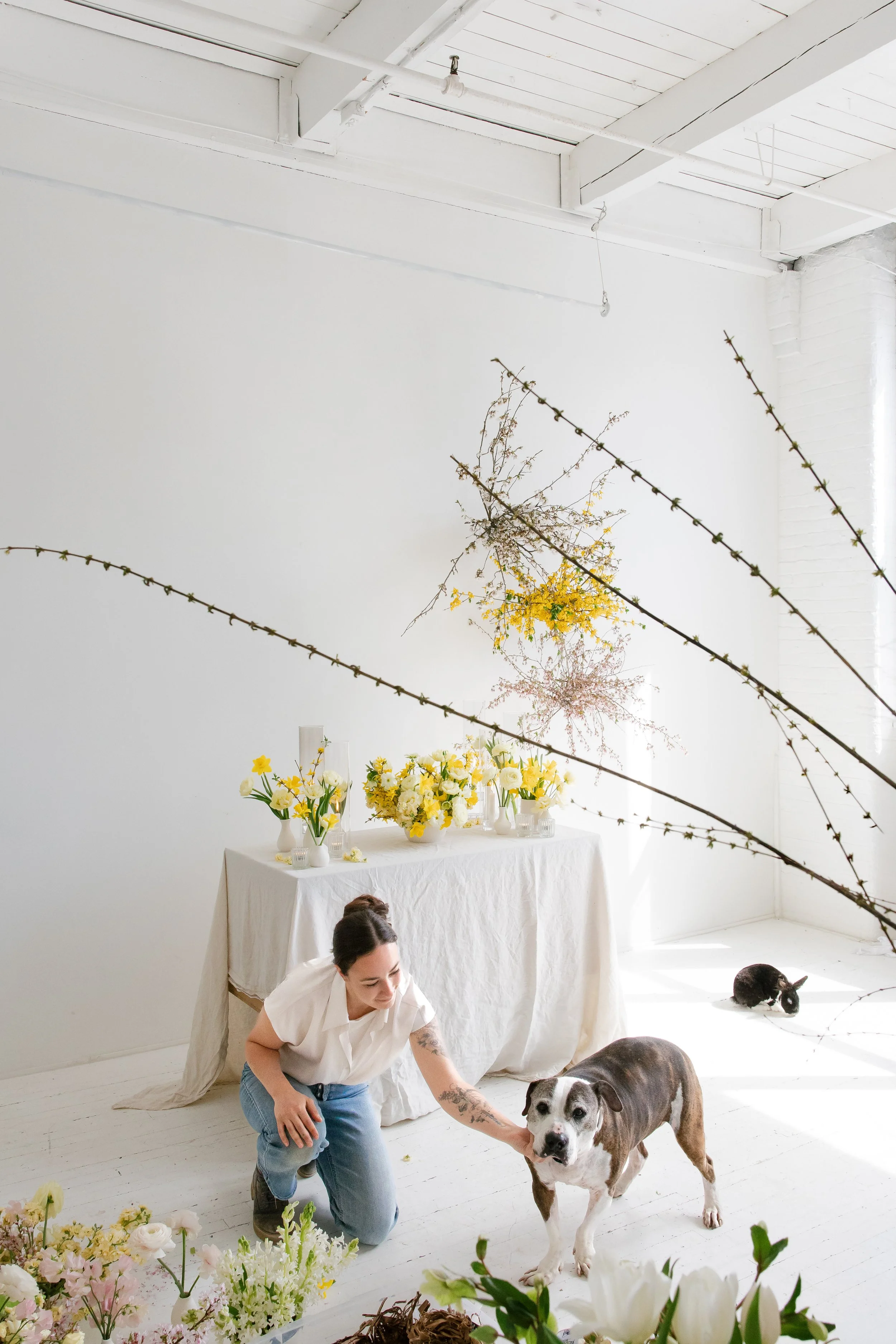 Midnight Moss co.  in white shirt kneeling on white floor, petting a large, brown and white dog, in a room with white walls, decorated with yellow and white flowers, a table with flower arrangements, at The Alexander in Rochester, NY.