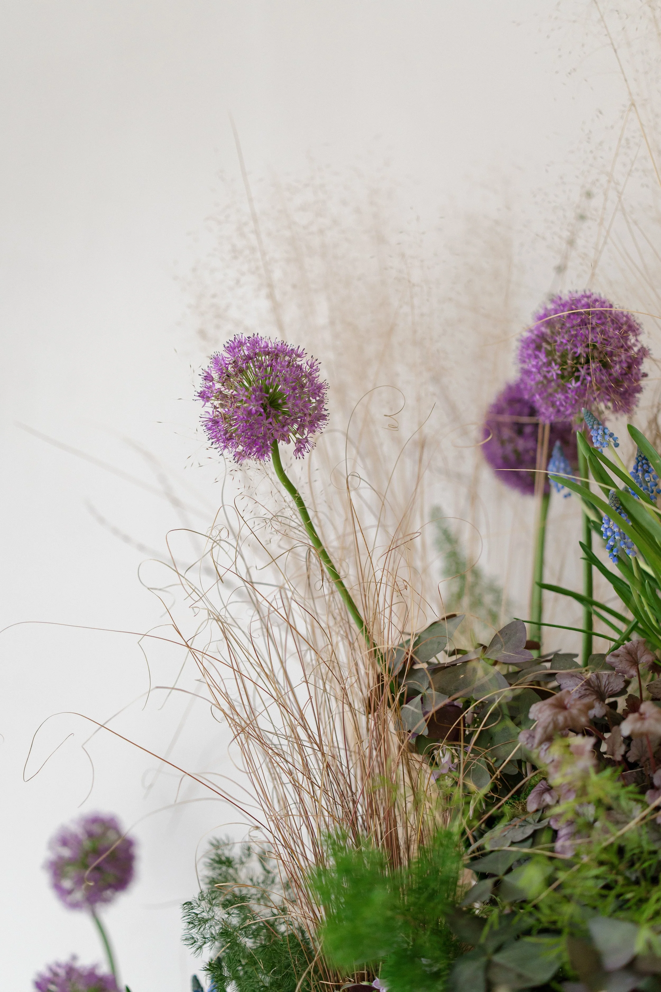 Arrangement of purple allium flowers, dried grasses, and green foliage against a light background for a wedding reception in the finger lakes.