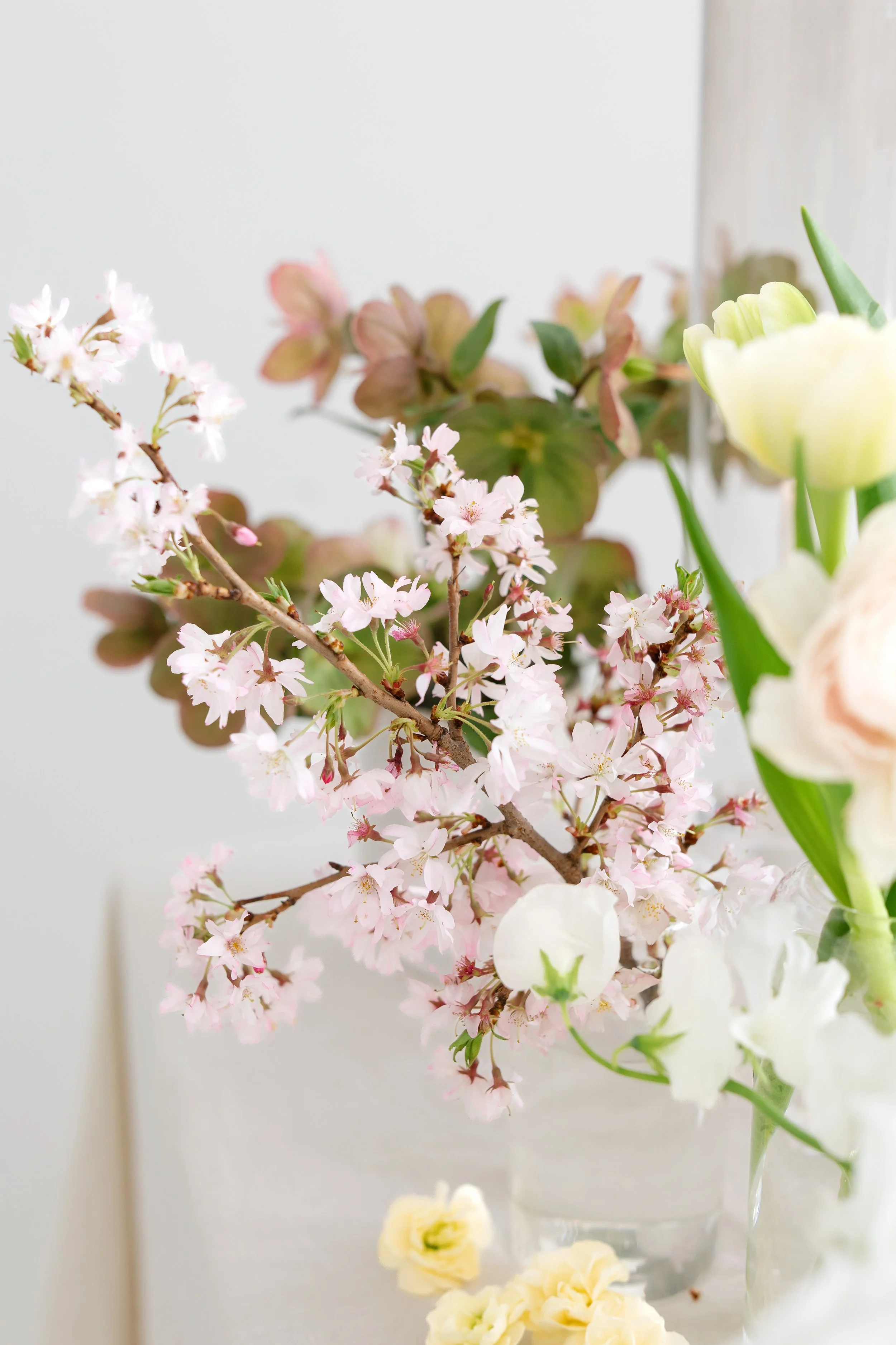 Arrangement of pink and white cherry blossoms with green leaves, and yellow and white flowers in vases.
