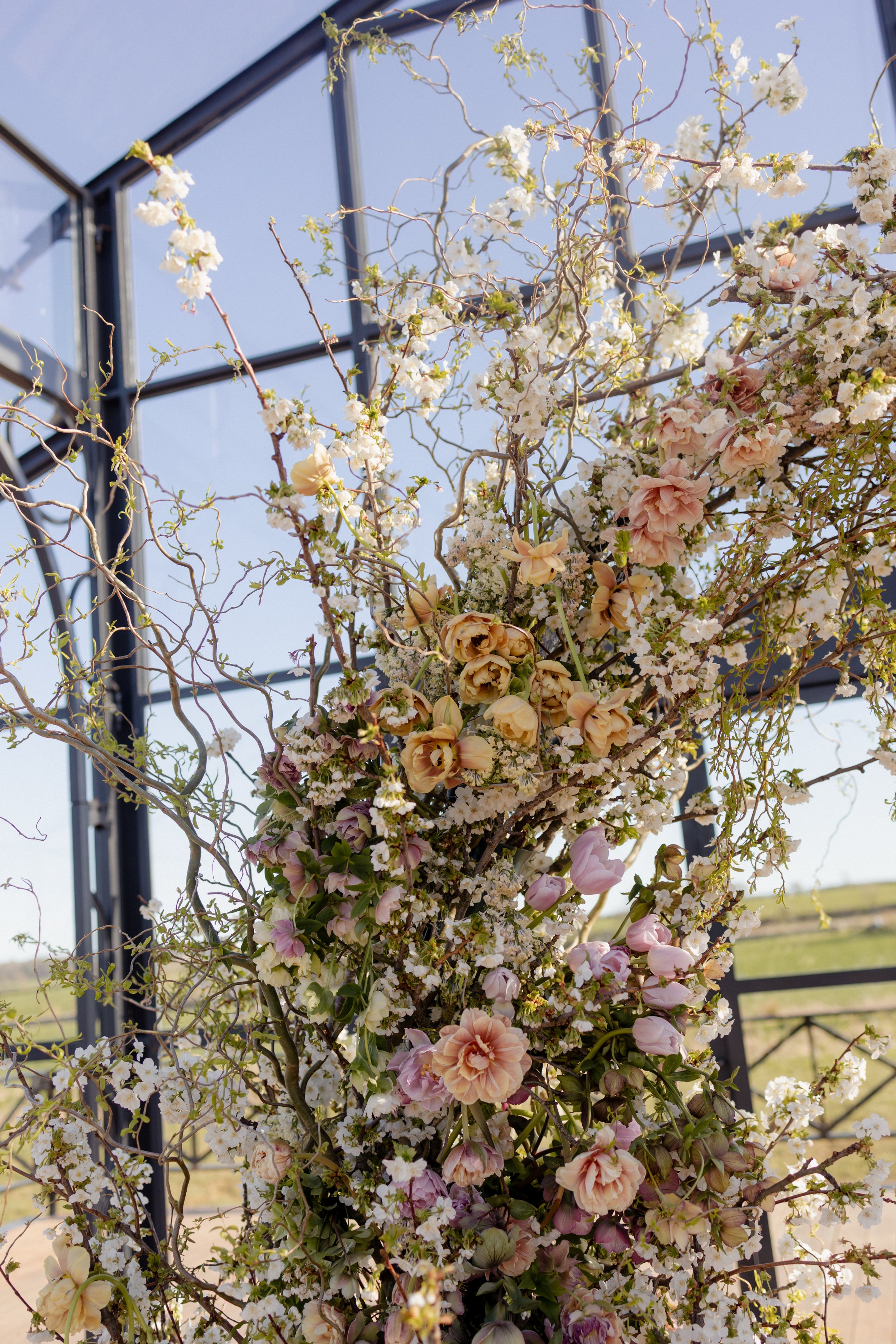 A floral arch with a variety of pink tulips,  white apple blossoms and cream-colored stock, set against a greenhouse for a wedding ceremony.