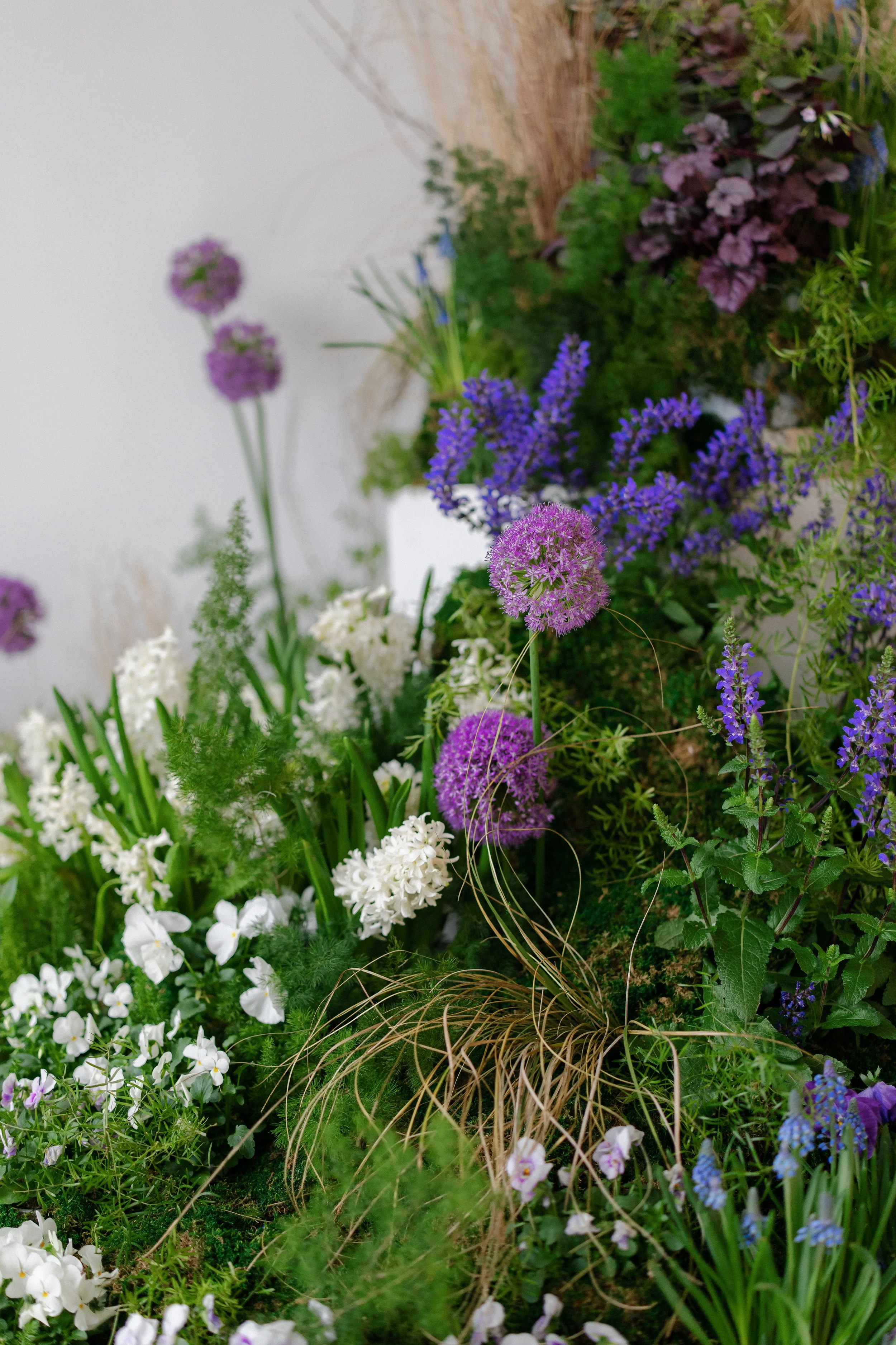A variety of colorful flowers created Midnight Moss Co, including purple allium , white pansies, and blue muscari, blooming in a garden with green foliage and some dry grass in Rochester, NY.
