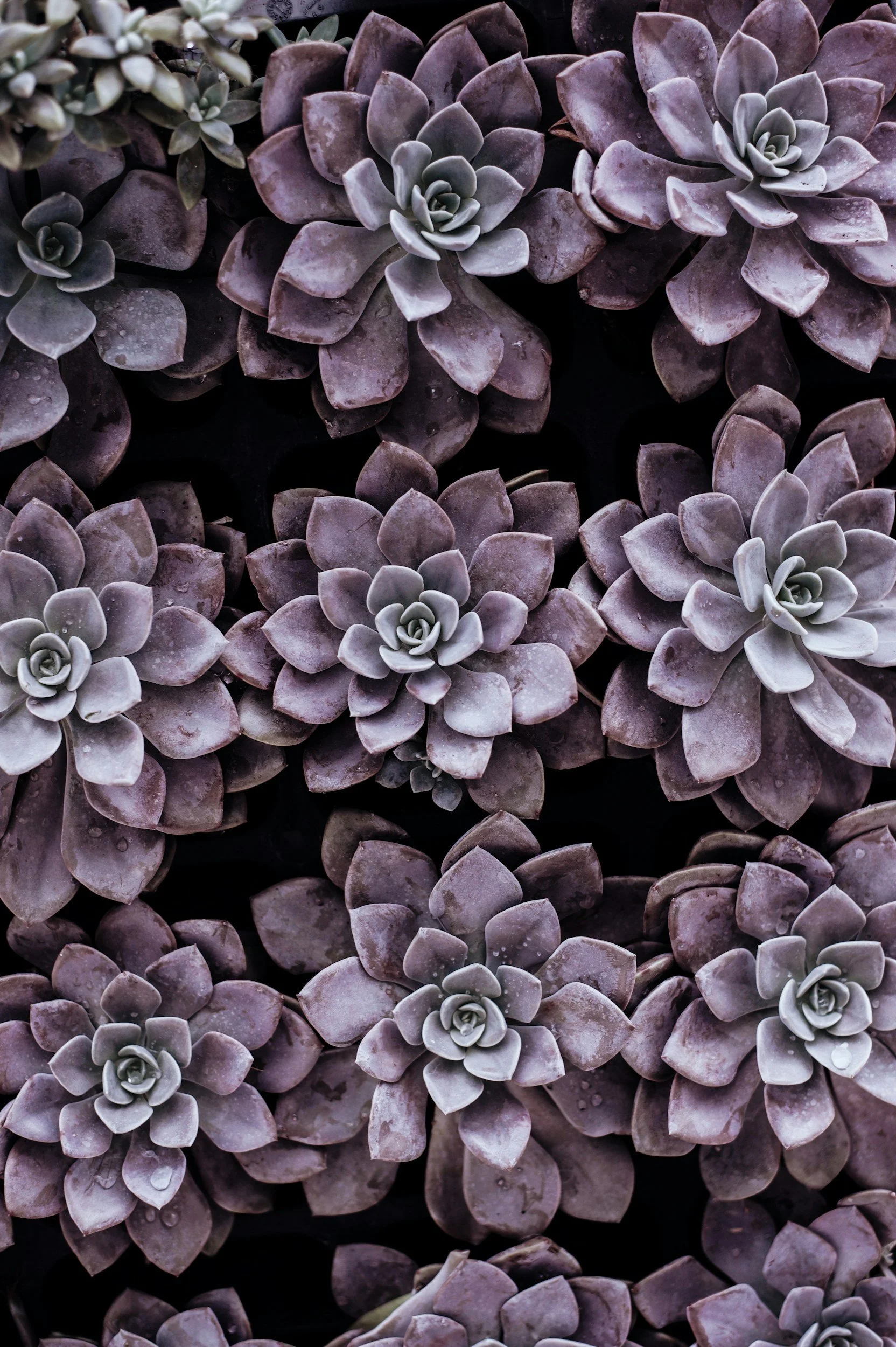 unsplash-image-gSQbip5HHuc.jpg