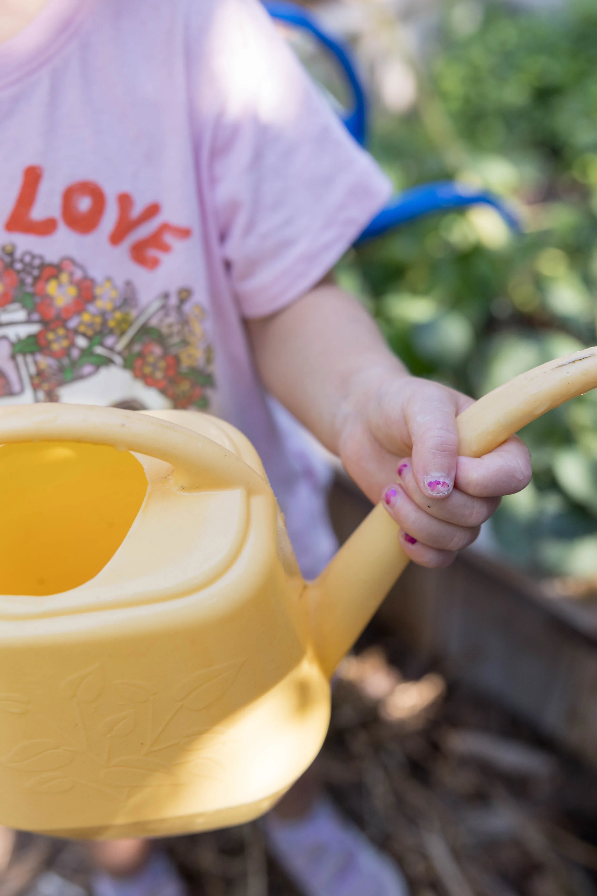 Why We Started Web of Life & What Your Children Will Learn
