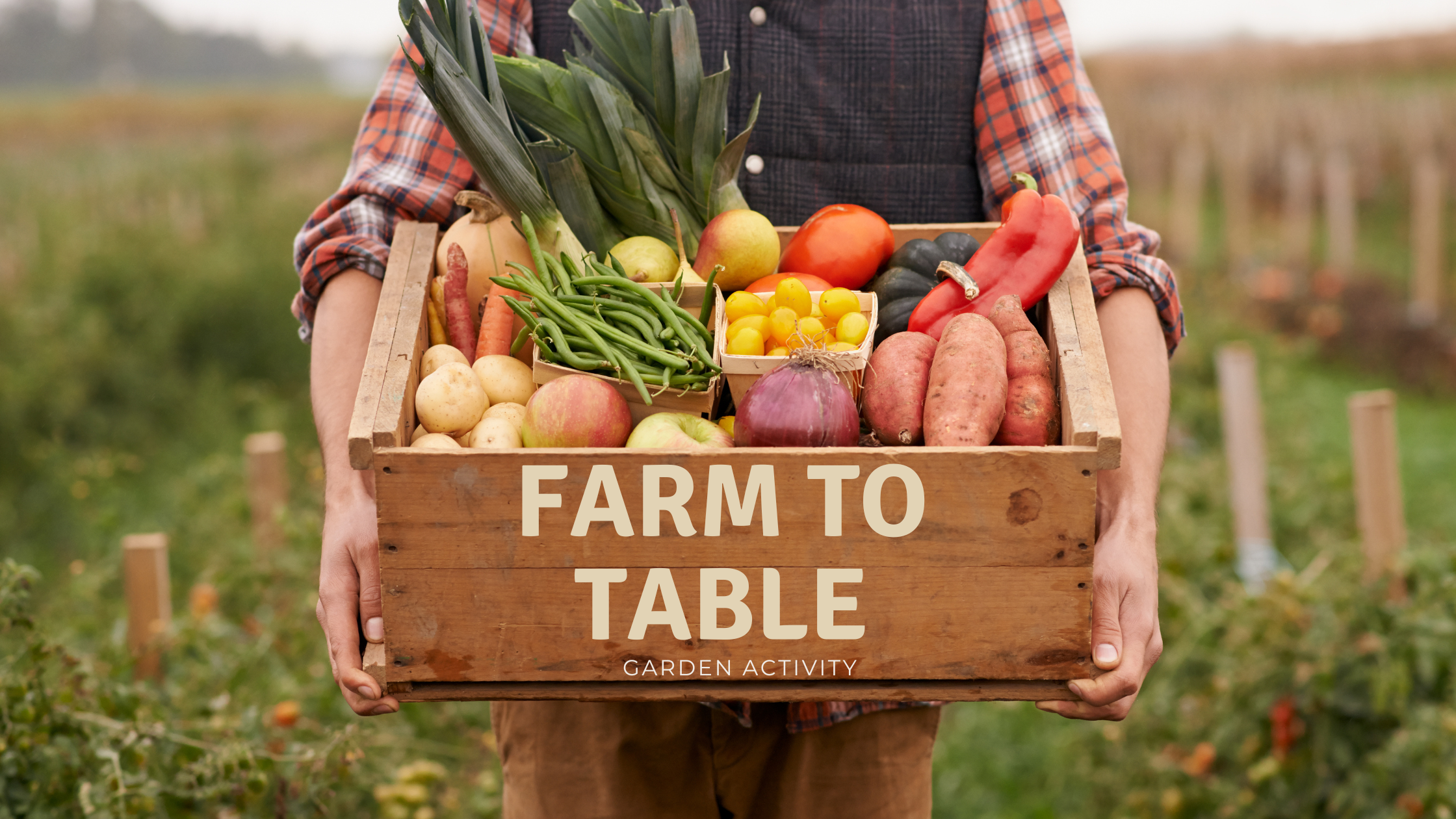 Pull, Plant, Taste: A Garden-to-Table Lesson Kids Can Feel, Grow, and Remember