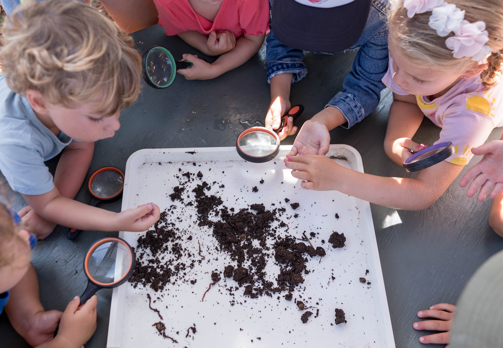 15 Nature Activities for Kids That Inspire Curiosity and Outdoor Learning