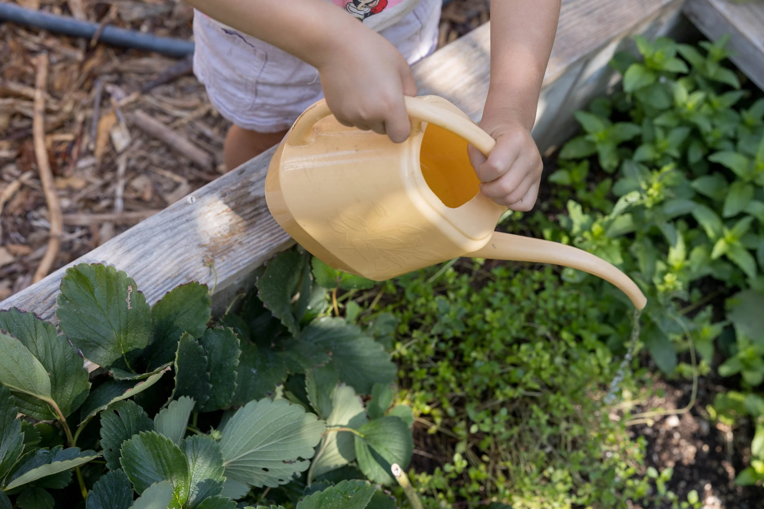 Garden Curriculum, nature-based curriculum and garden guide, hands-on lesson training the next generation