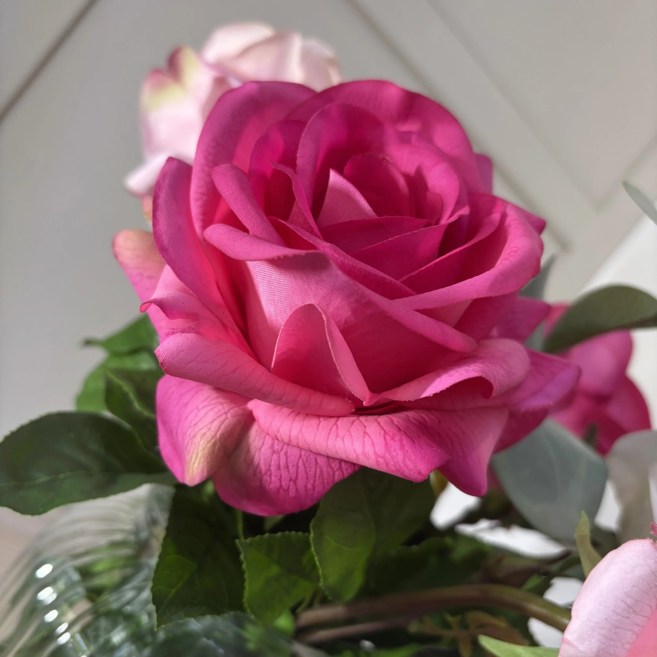 IMG_9175.jpeg