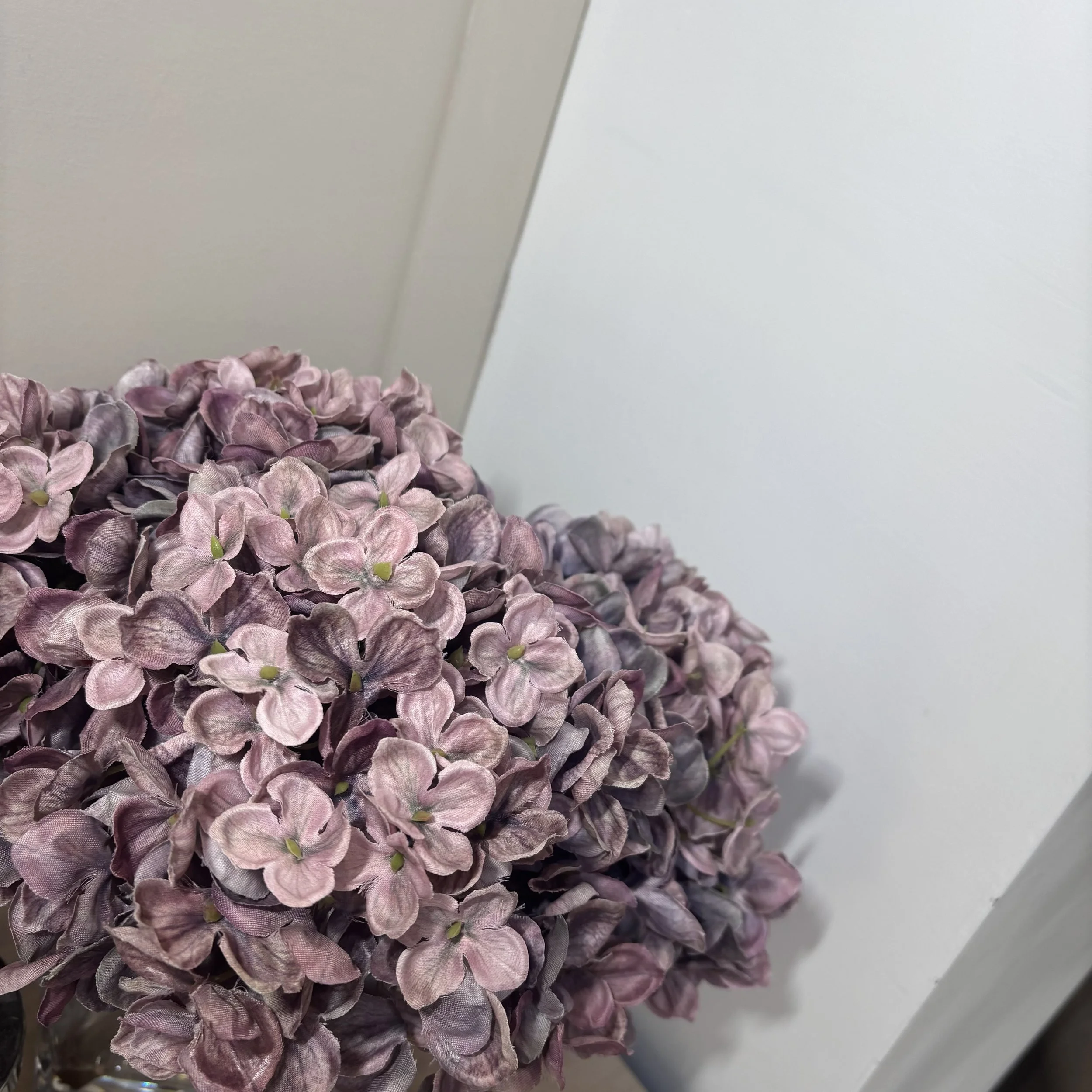 IMG_9804.jpeg
