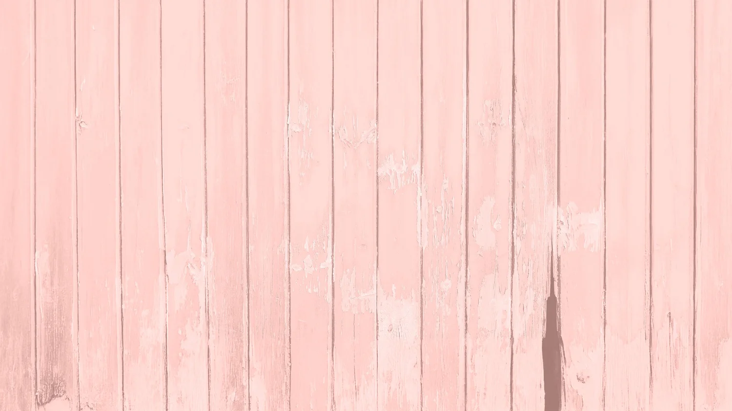 Menu Discover Order Delicious Meals Today Funky Pelican