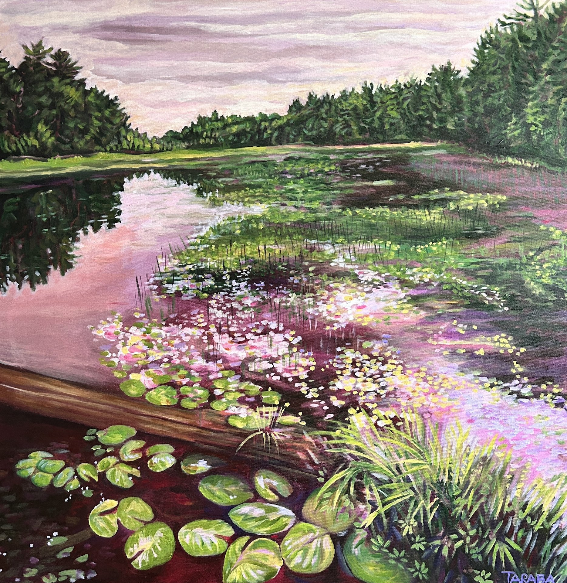 Floating in the Misty Pink, Jo-Anne Taraba, acrylic on canvas, 36 x 36