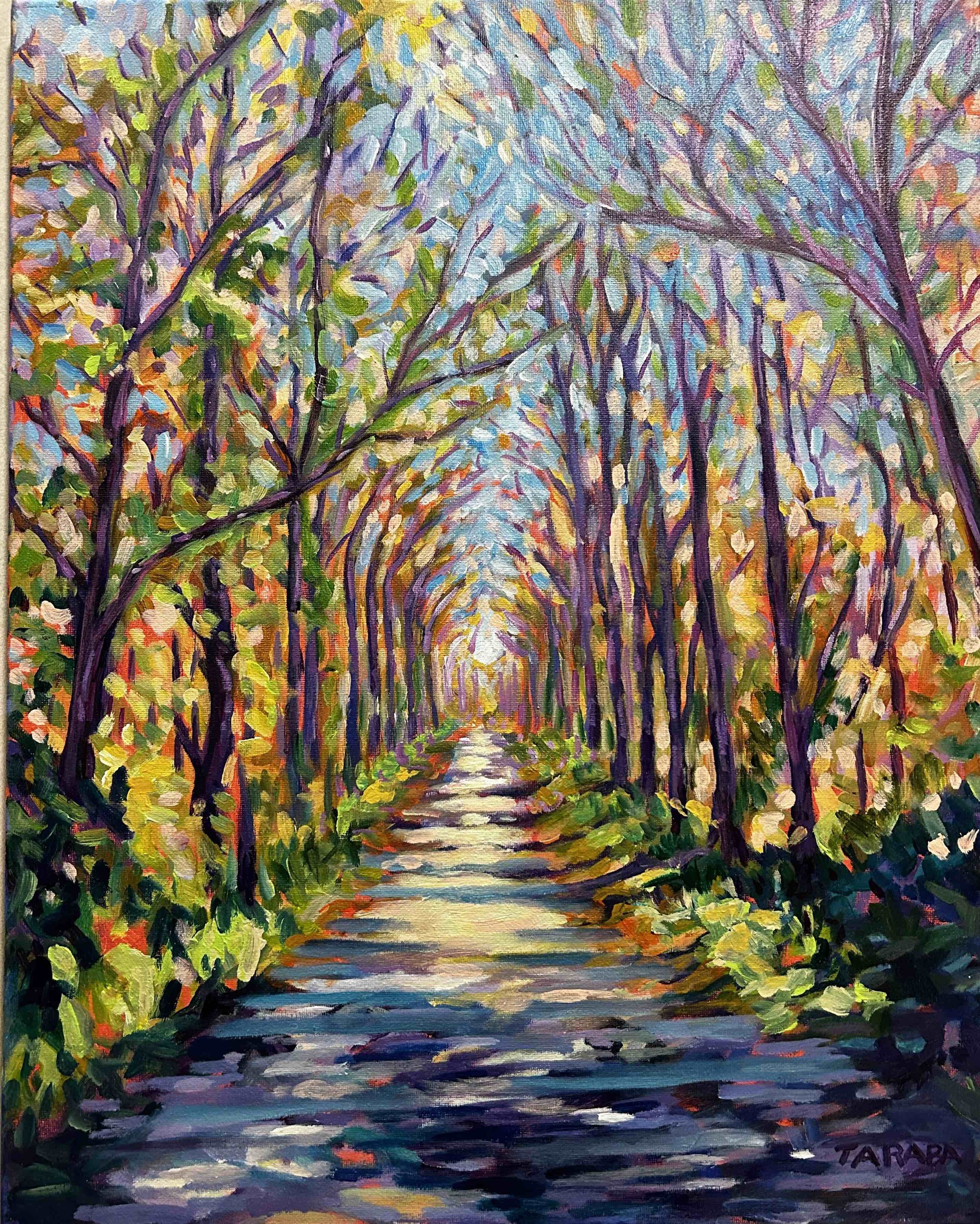 Twelve Mile Creek Fall